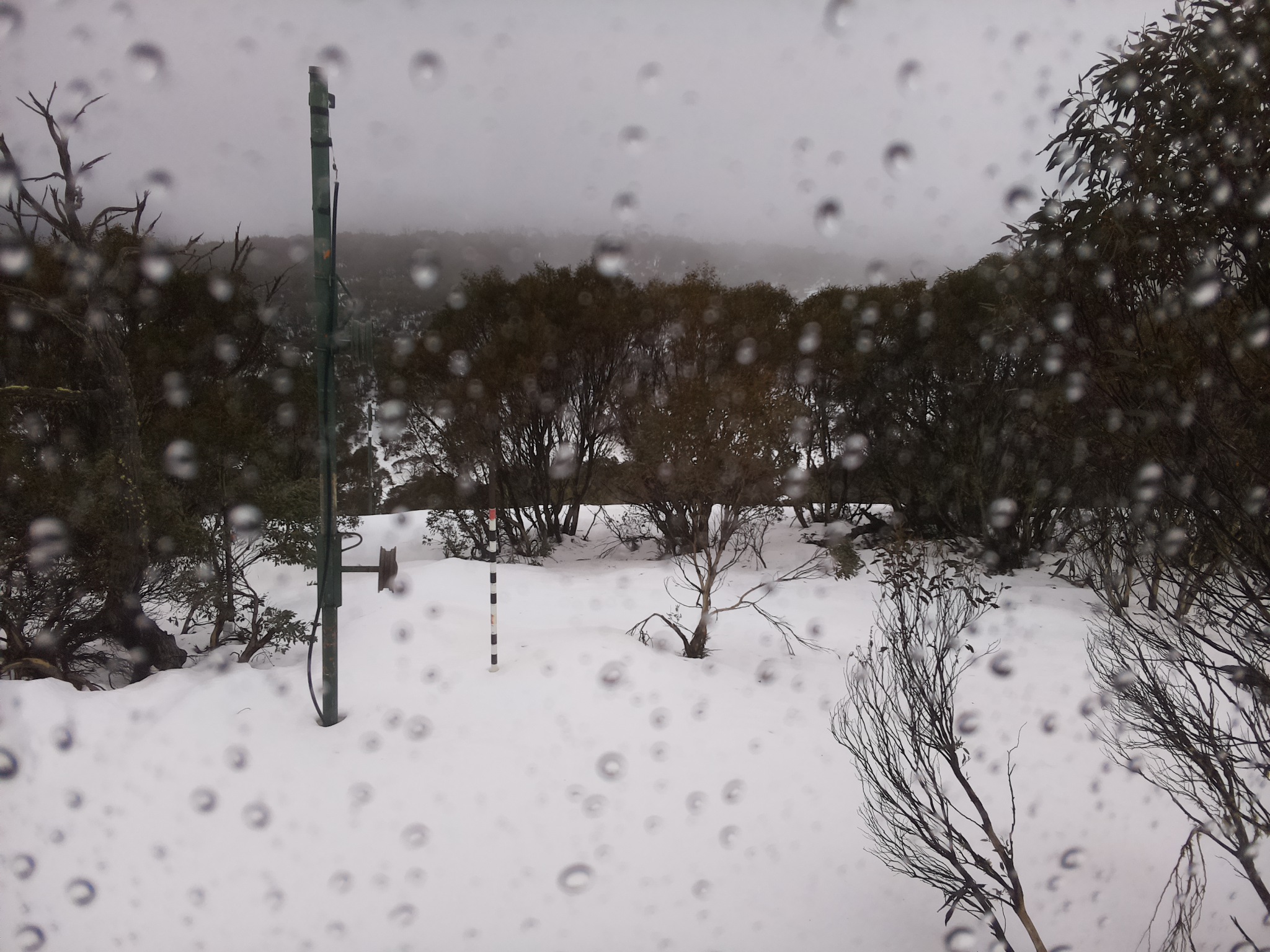 Bogong Web Cam 12:50pm Thursday 3rd of July 2025