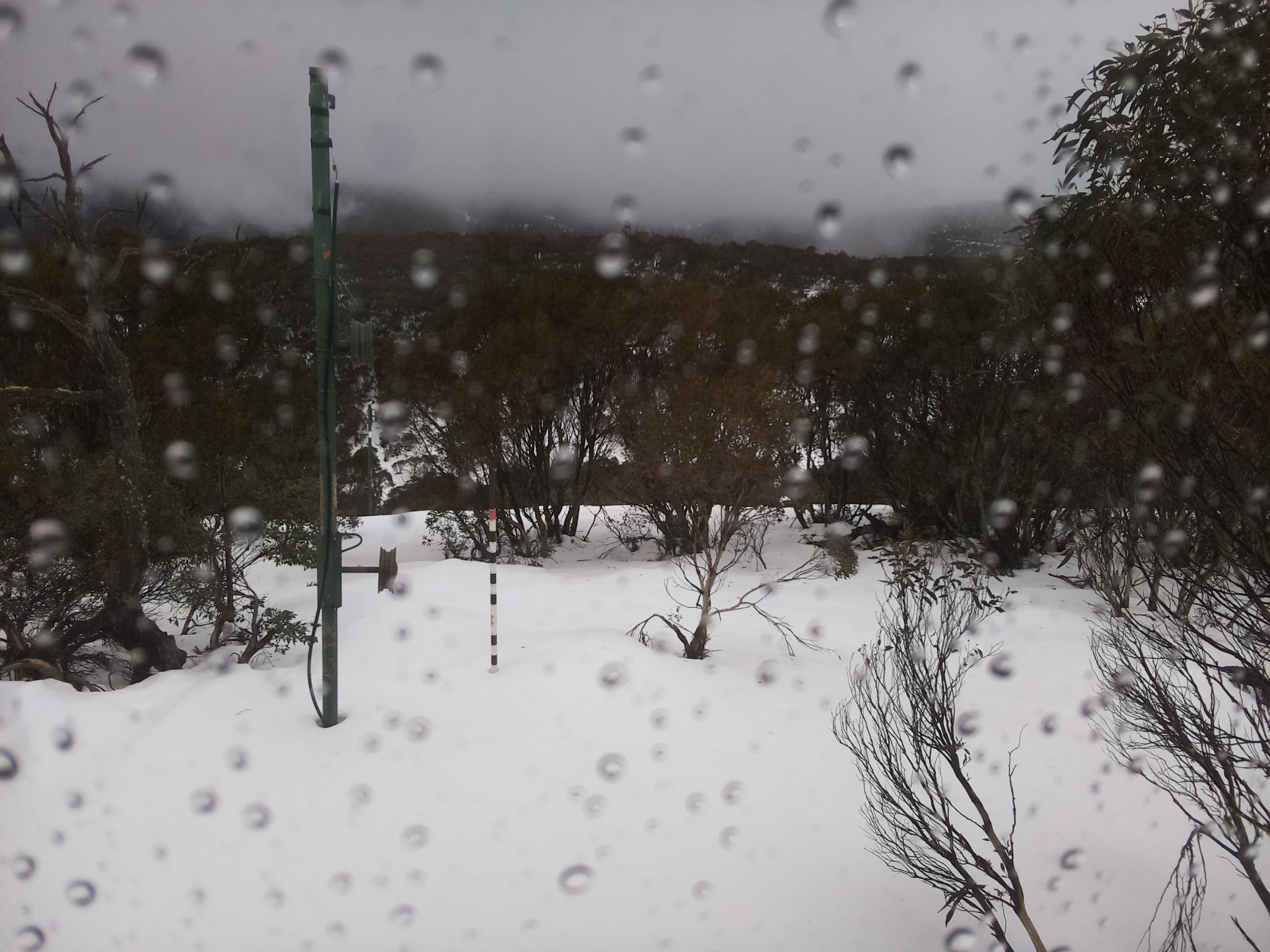 Bogong Web Cam 1:10pm Thursday 3rd of July 2025