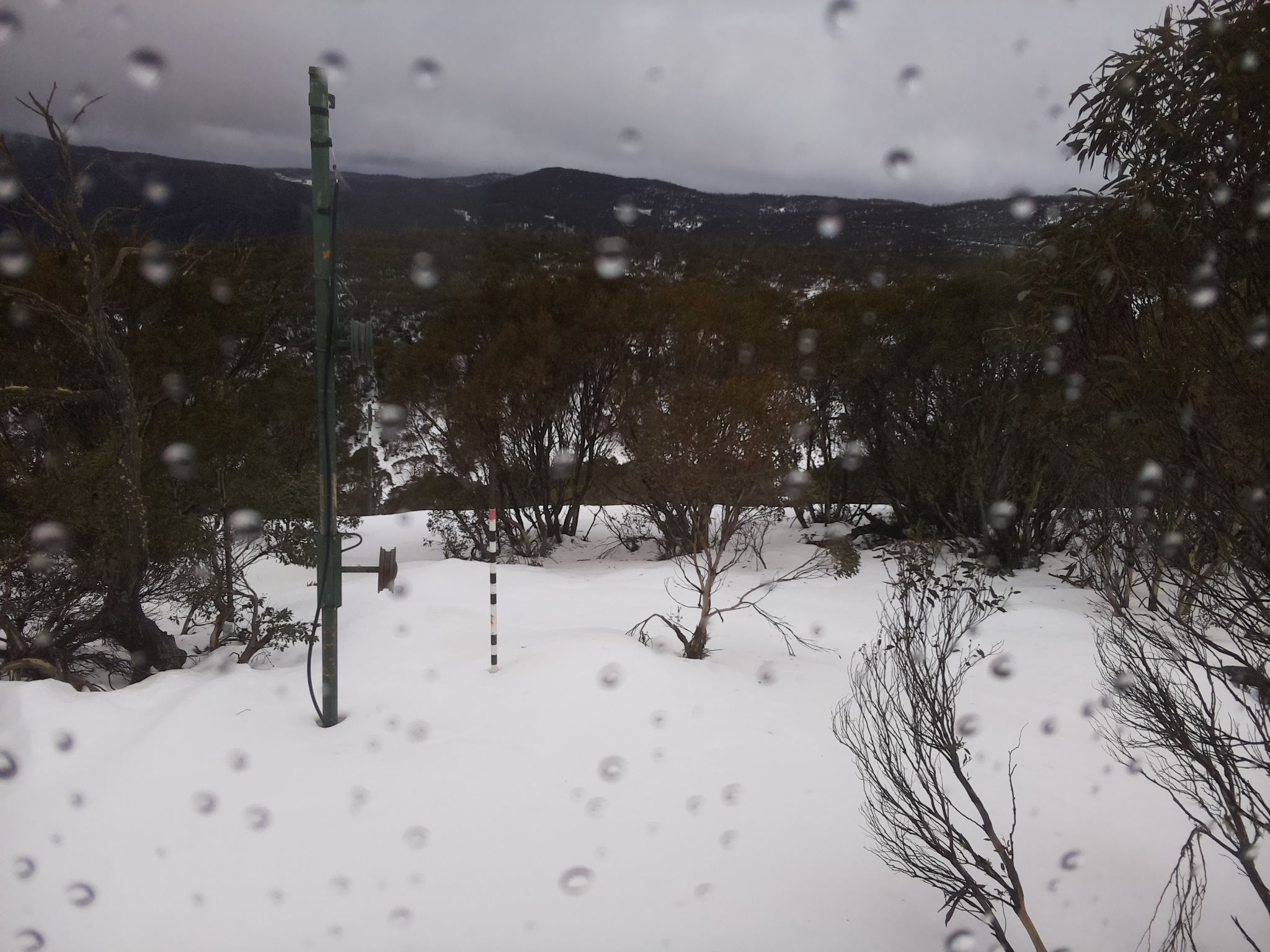 Bogong Web Cam 1:40pm Thursday 3rd of July 2025