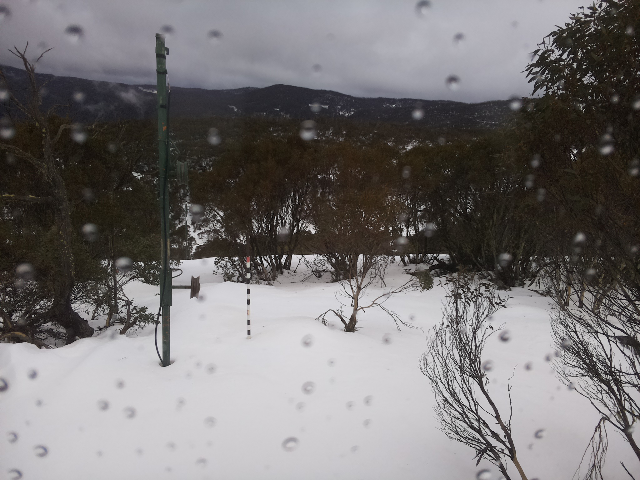 Bogong Web Cam 1:50pm Thursday 3rd of July 2025