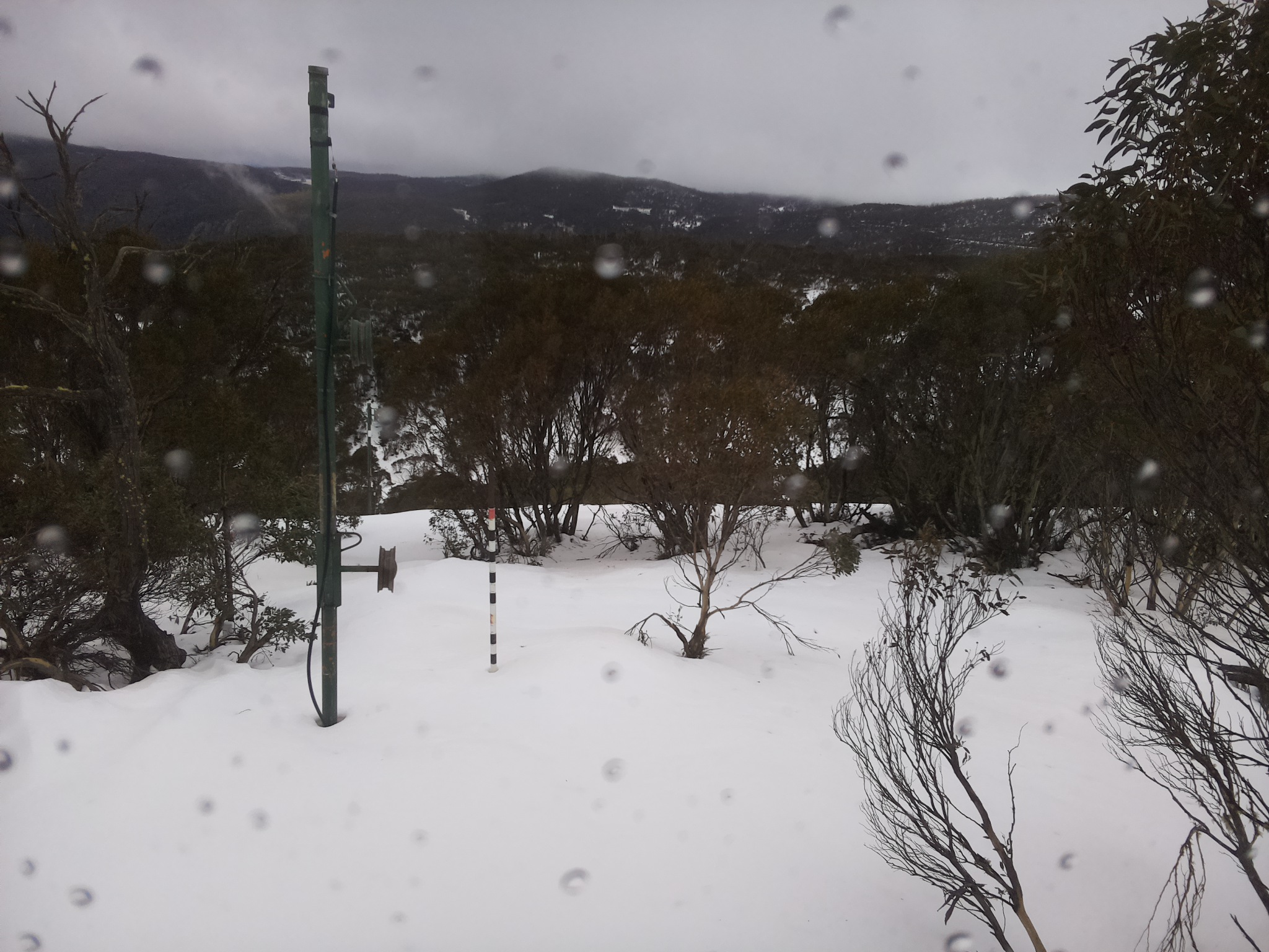 Bogong Web Cam 2:40pm Thursday 3rd of July 2025