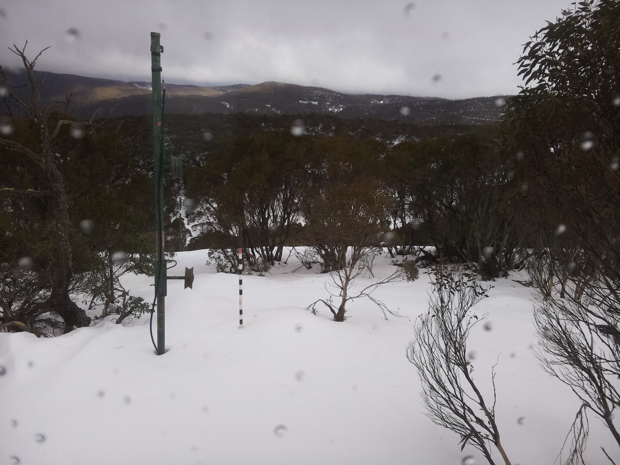 Bogong Web Cam 2:50pm Thursday 3rd of July 2025