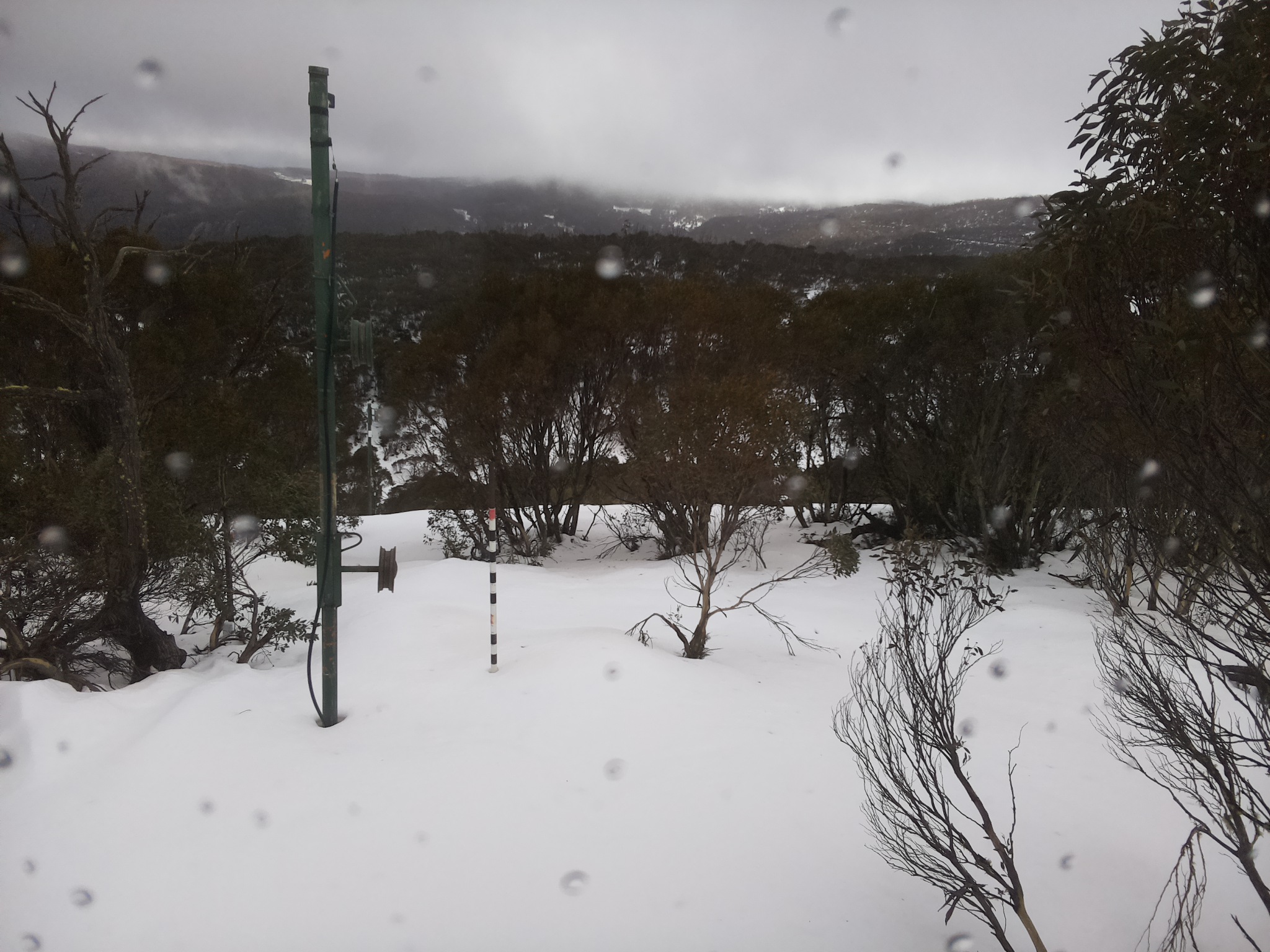 Bogong Web Cam 3:00pm Thursday 3rd of July 2025