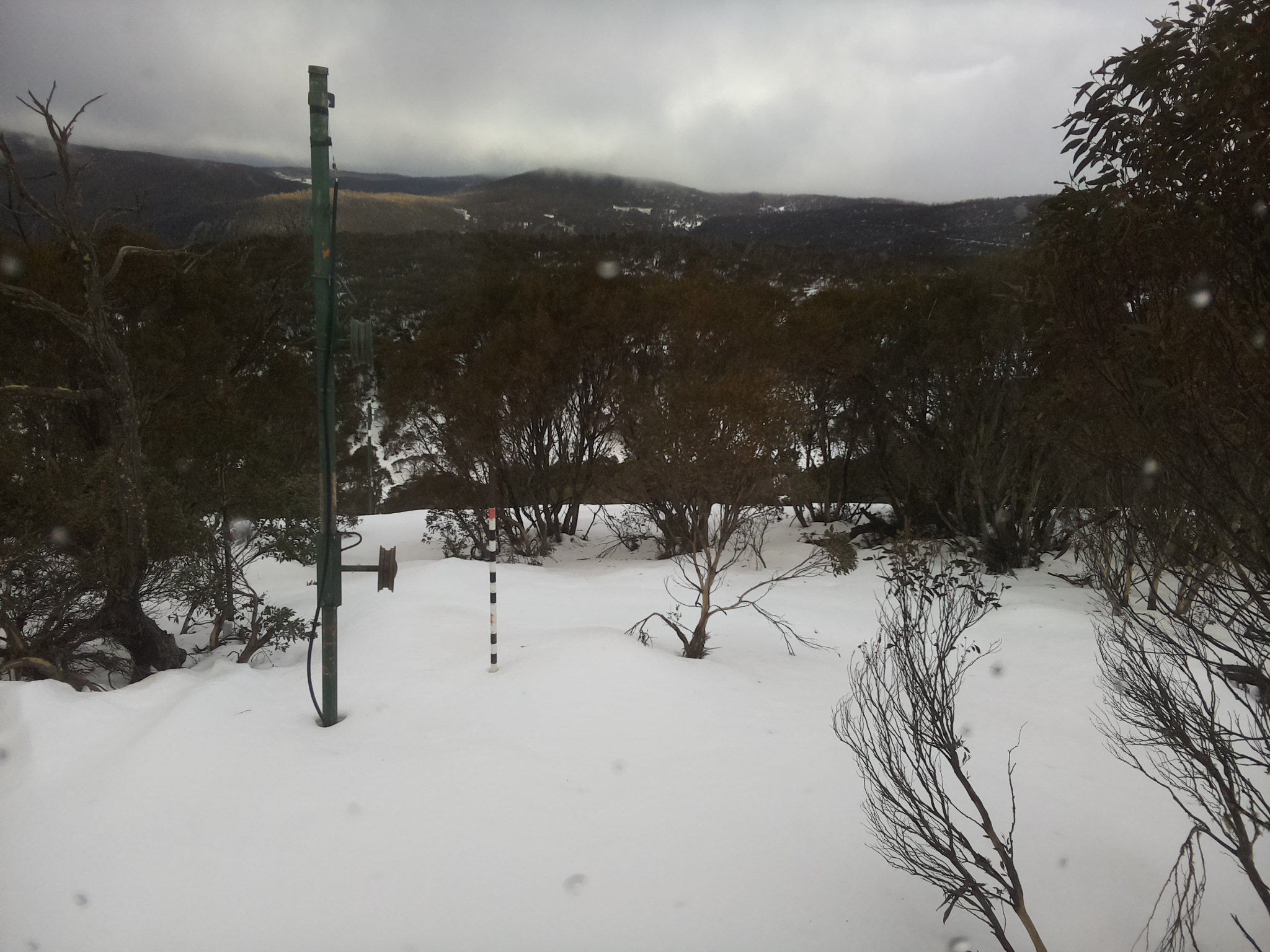 Bogong Web Cam 4:00pm Thursday 3rd of July 2025