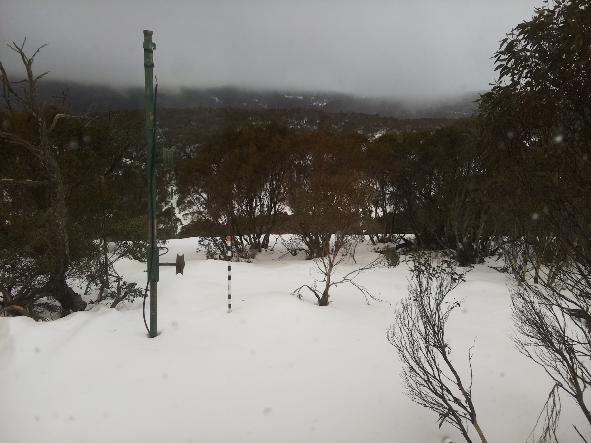 Bogong Web Cam 4:40pm Thursday 3rd of July 2025