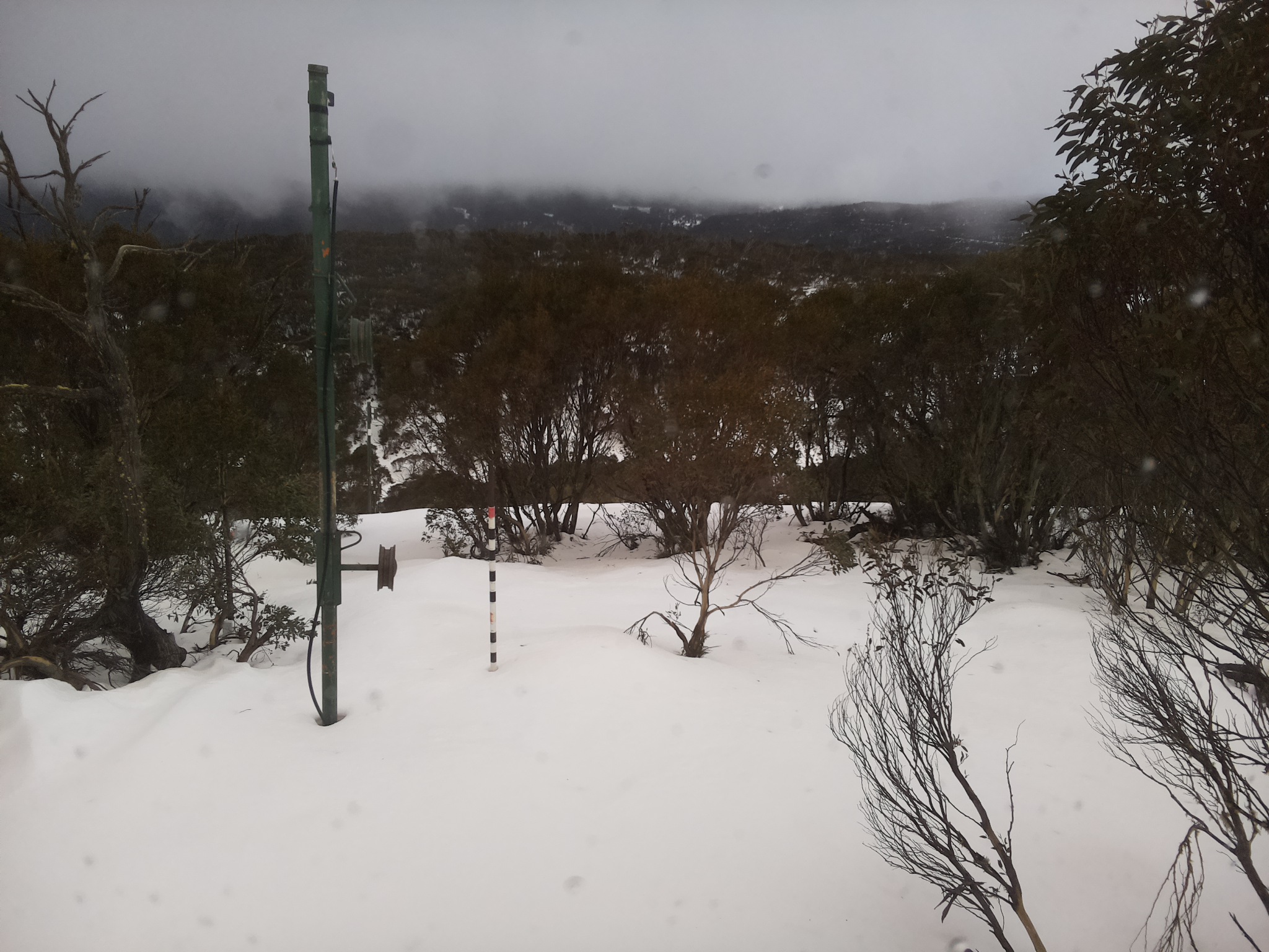 Bogong Web Cam 4:50pm Thursday 3rd of July 2025