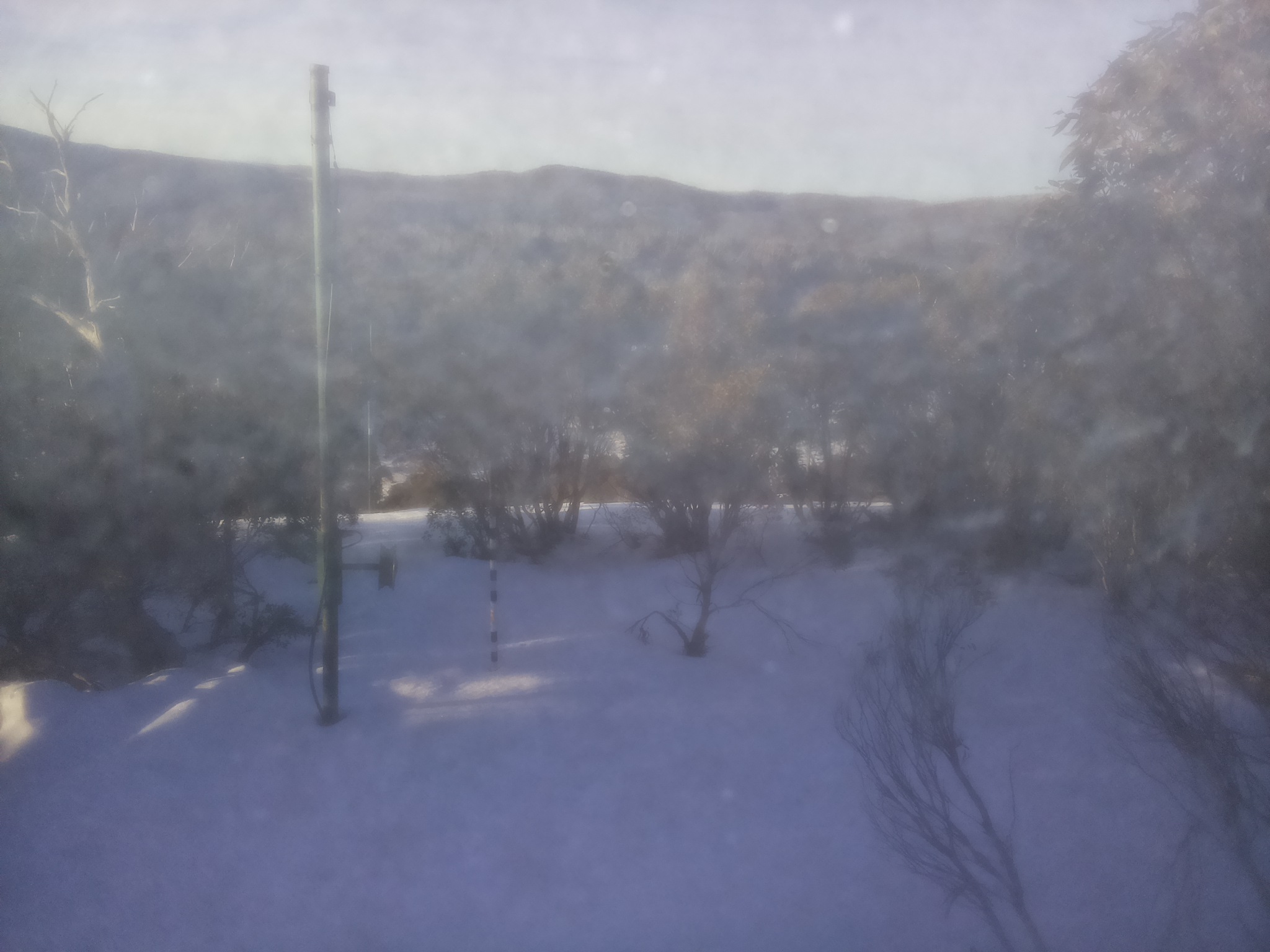 Bogong Web Cam 8:10am Saturday 5th of July 2025