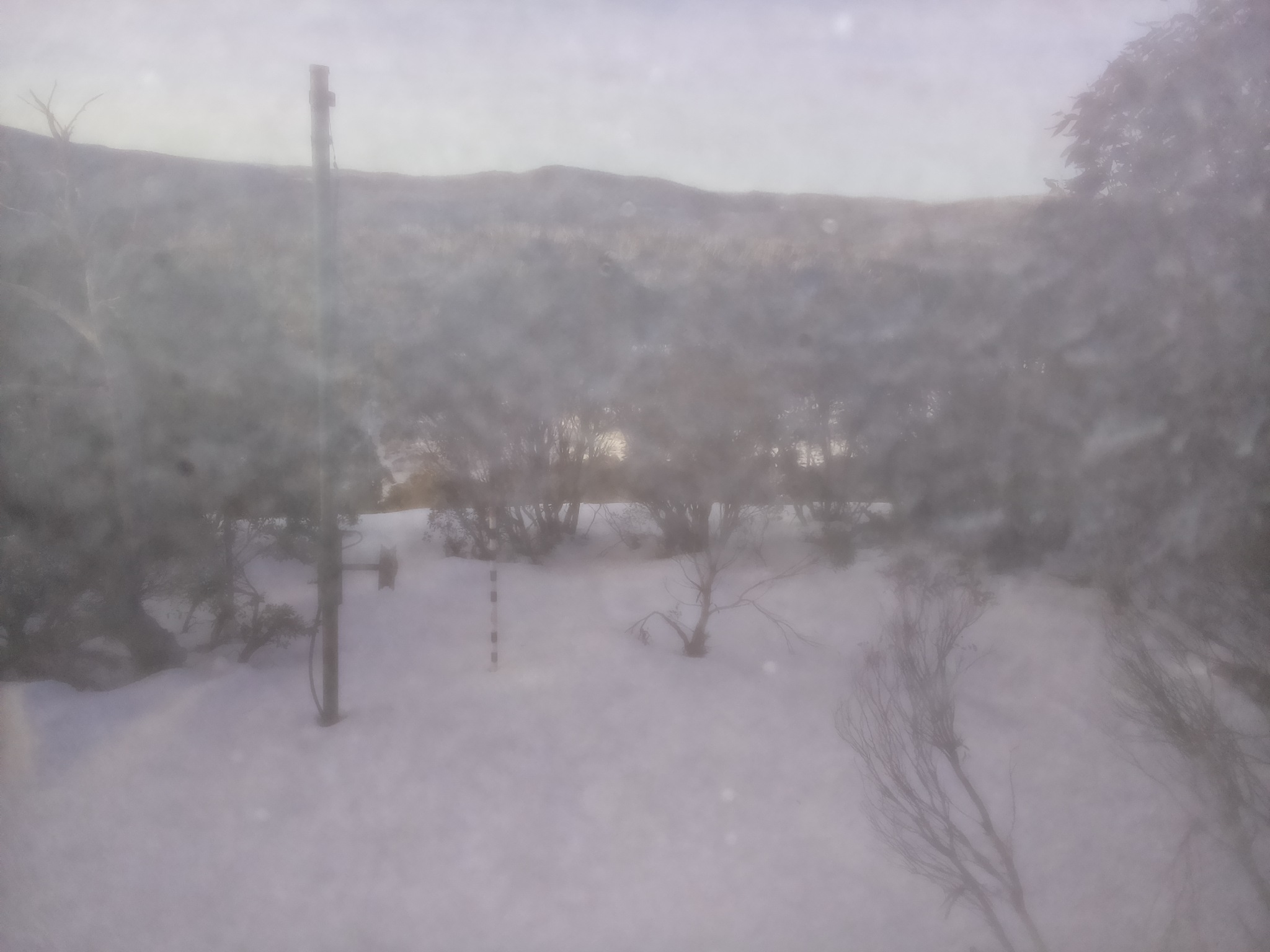 Bogong Web Cam 8:20am Saturday 5th of July 2025