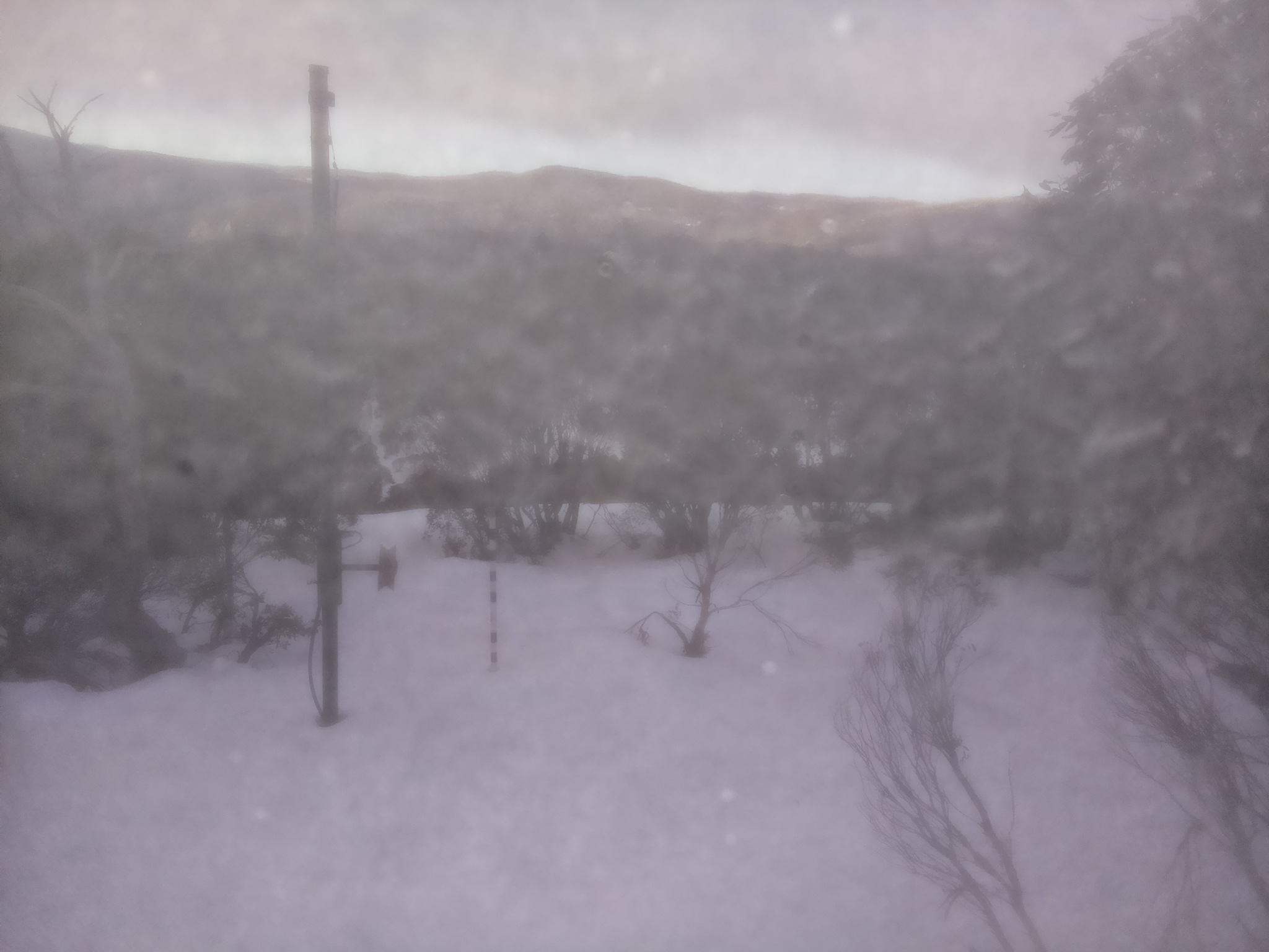 Bogong Web Cam 8:30am Saturday 5th of July 2025
