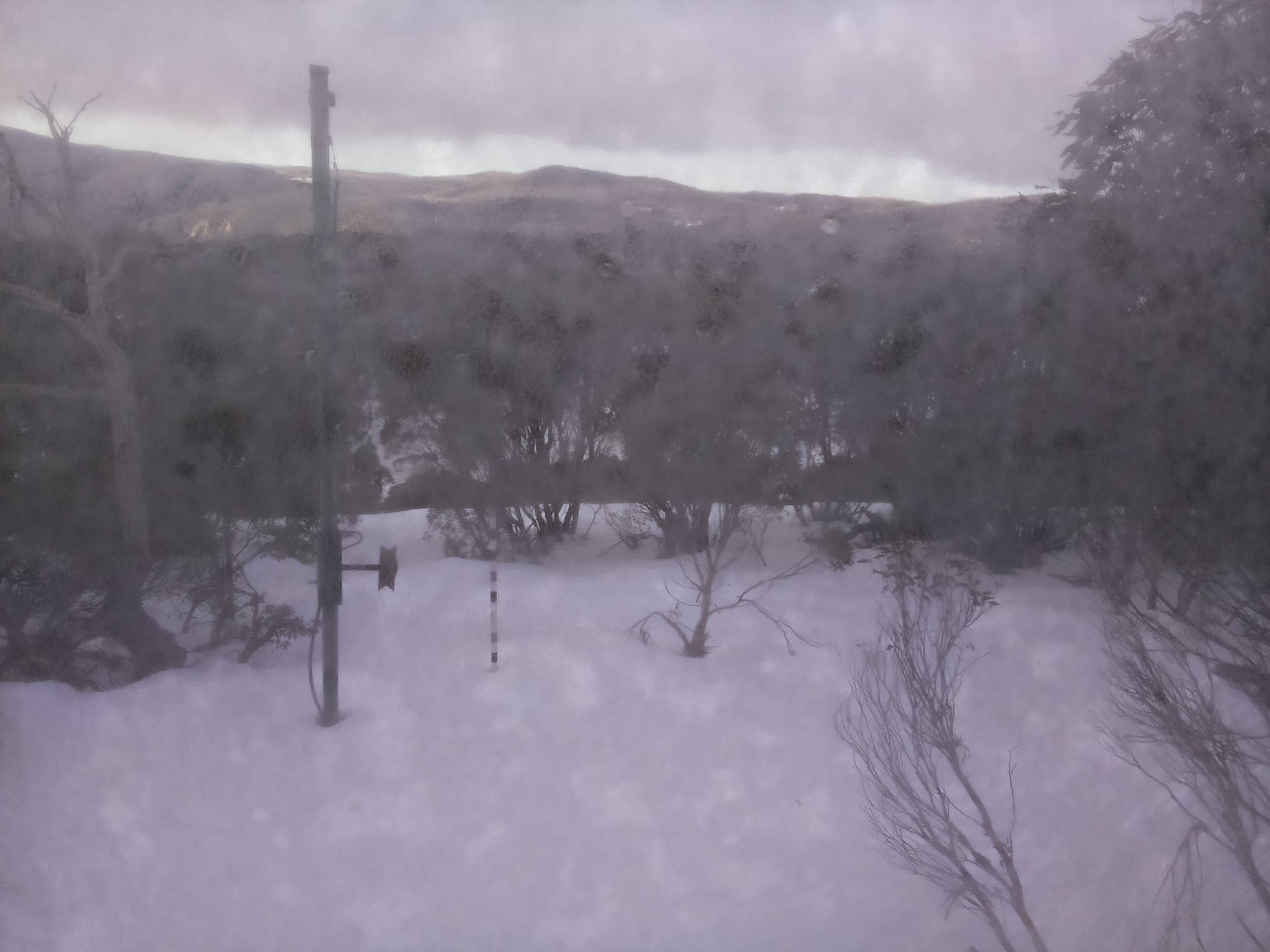 Bogong Web Cam 8:40am Saturday 5th of July 2025