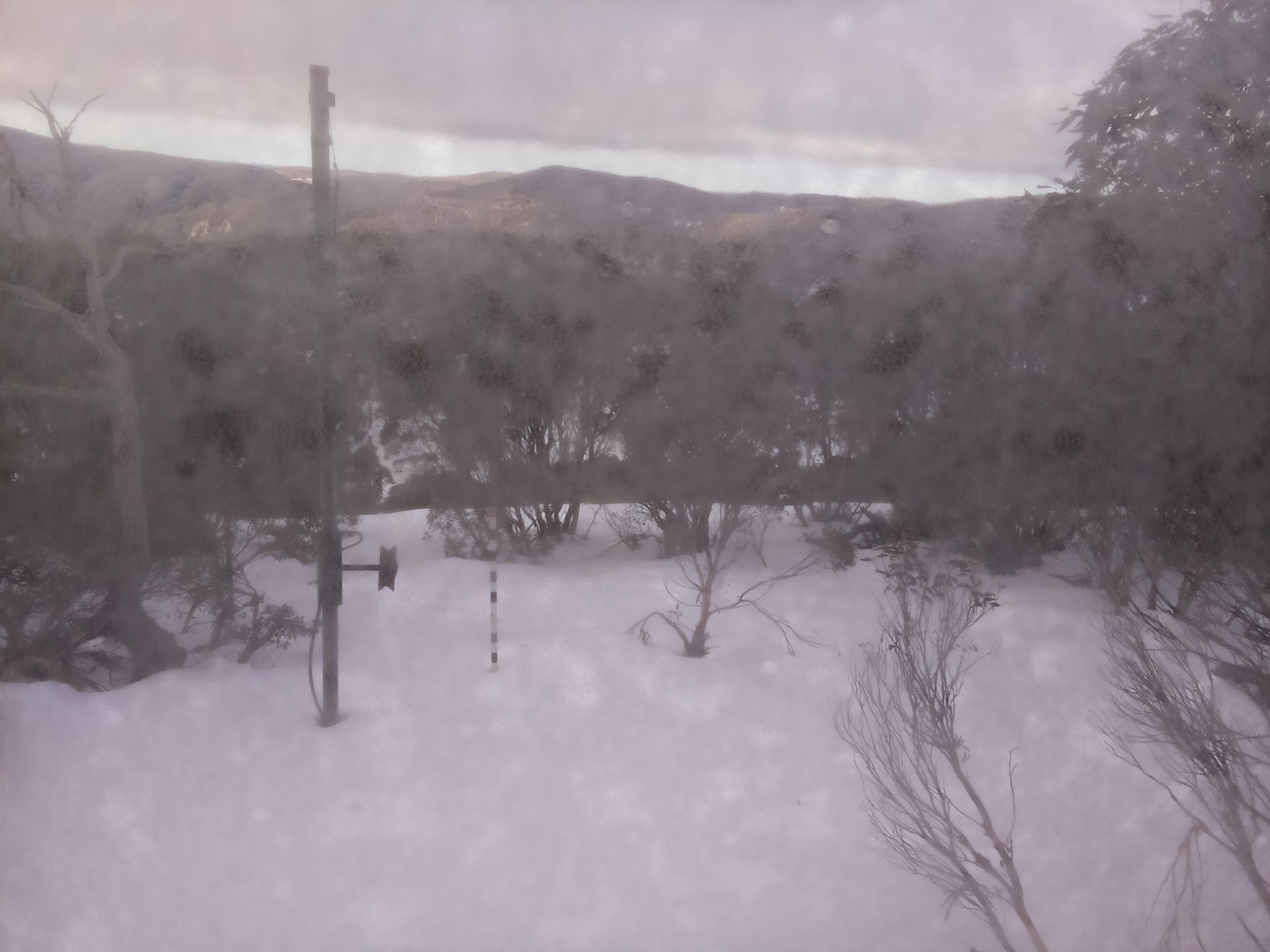 Bogong Web Cam 8:50am Saturday 5th of July 2025