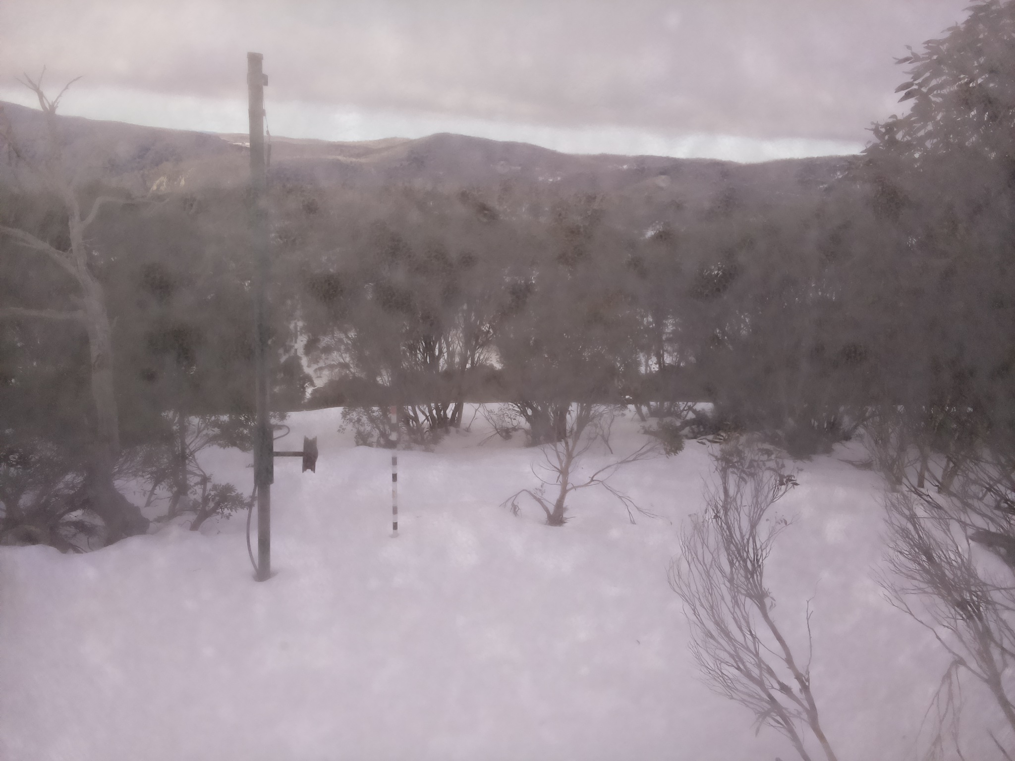 Bogong Web Cam 9:00am Saturday 5th of July 2025