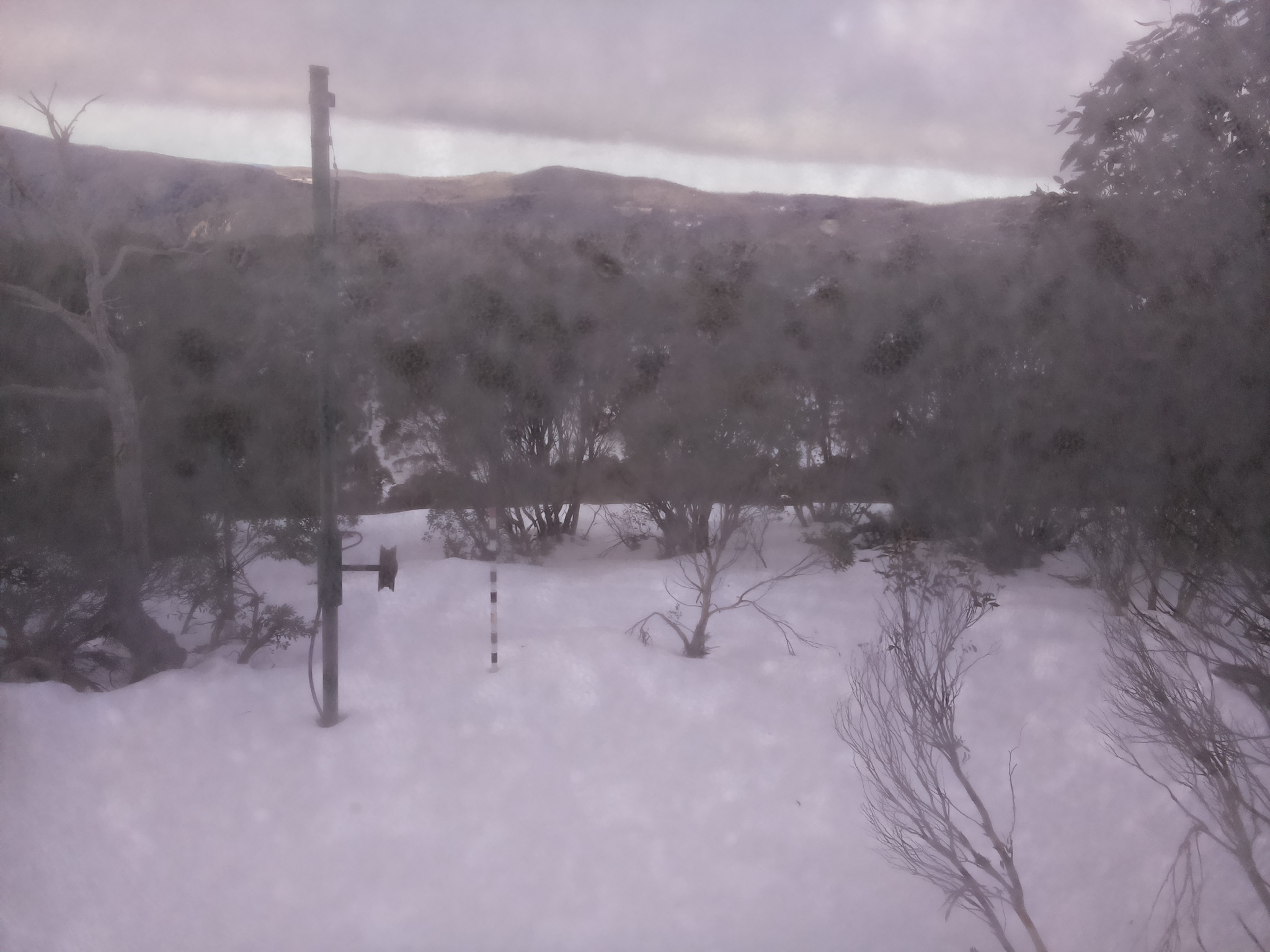 Bogong Web Cam 9:10am Saturday 5th of July 2025