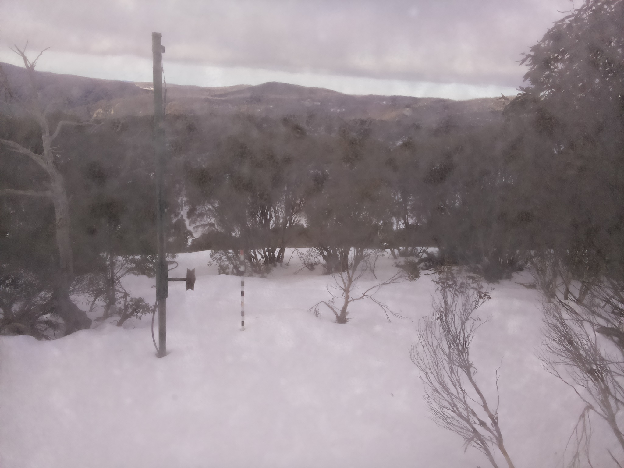 Bogong Web Cam 9:20am Saturday 5th of July 2025