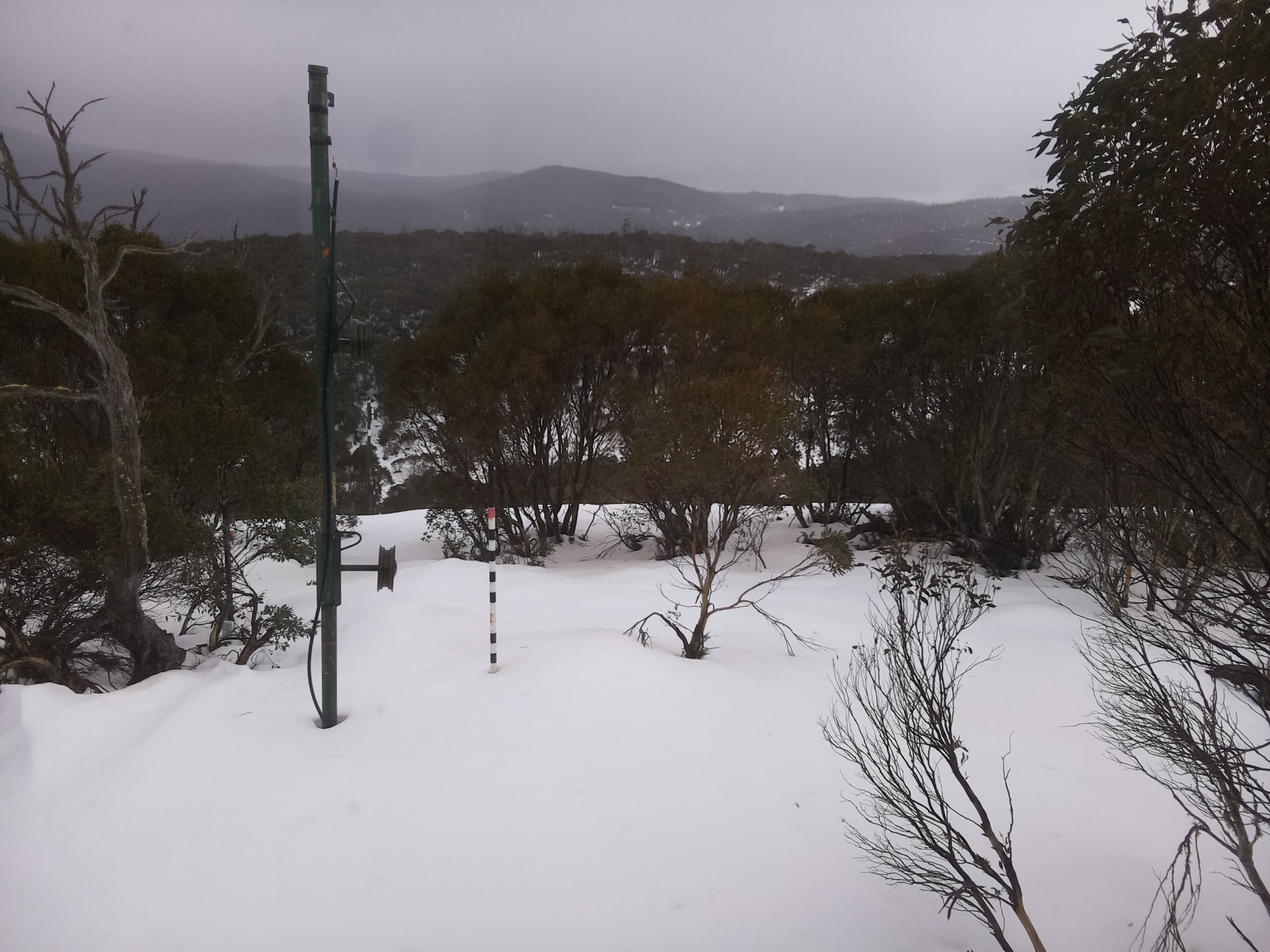 Bogong Web Cam 3:10pm Sunday 6th of July 2025