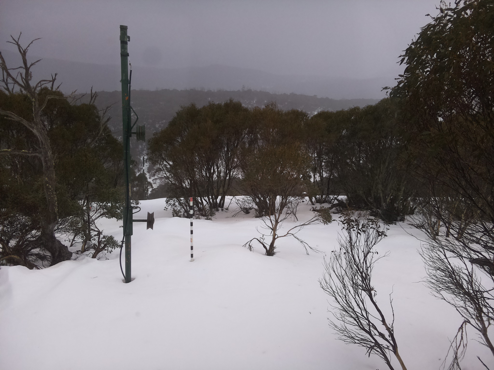 Bogong Web Cam 3:20pm Sunday 6th of July 2025
