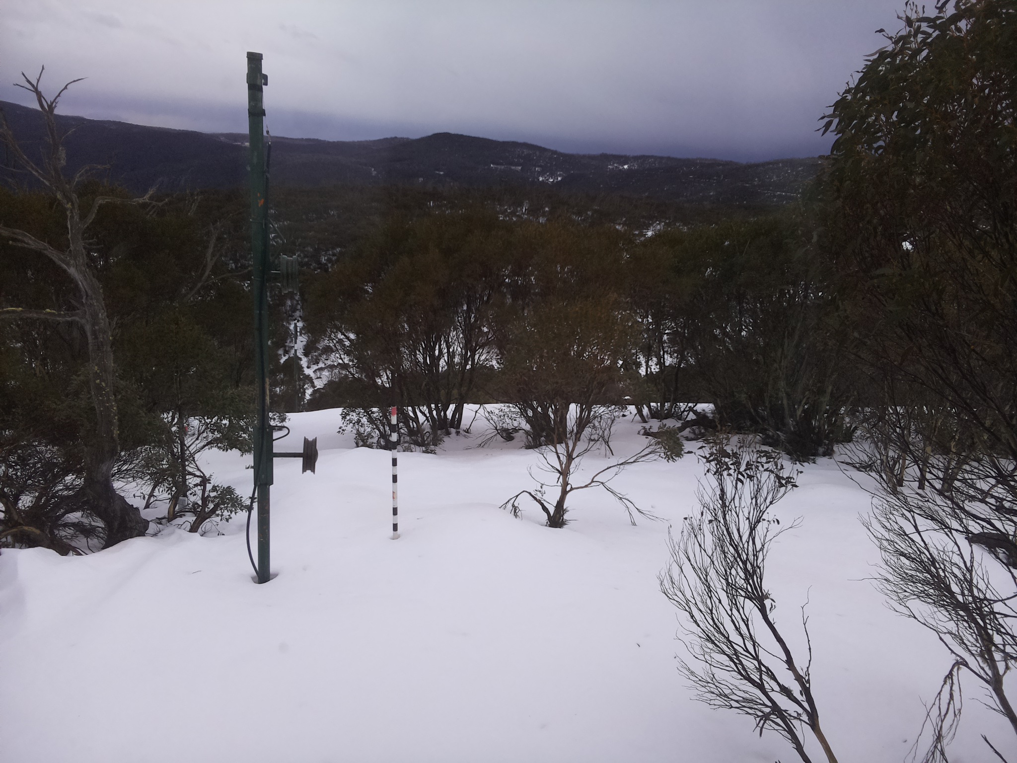 Bogong Web Cam 4:00pm Sunday 6th of July 2025
