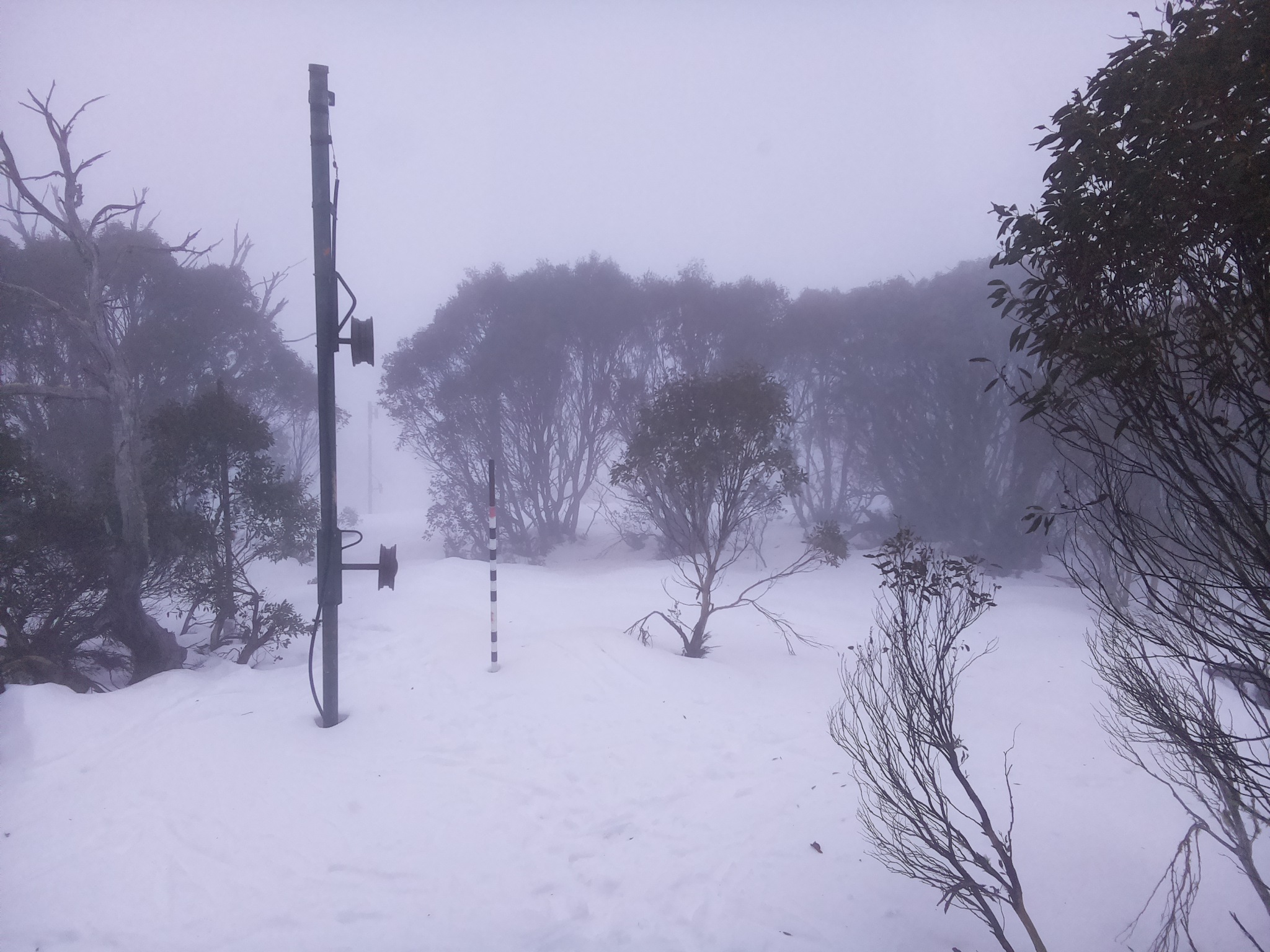 Bogong Web Cam 8:00am Tuesday 8th of July 2025