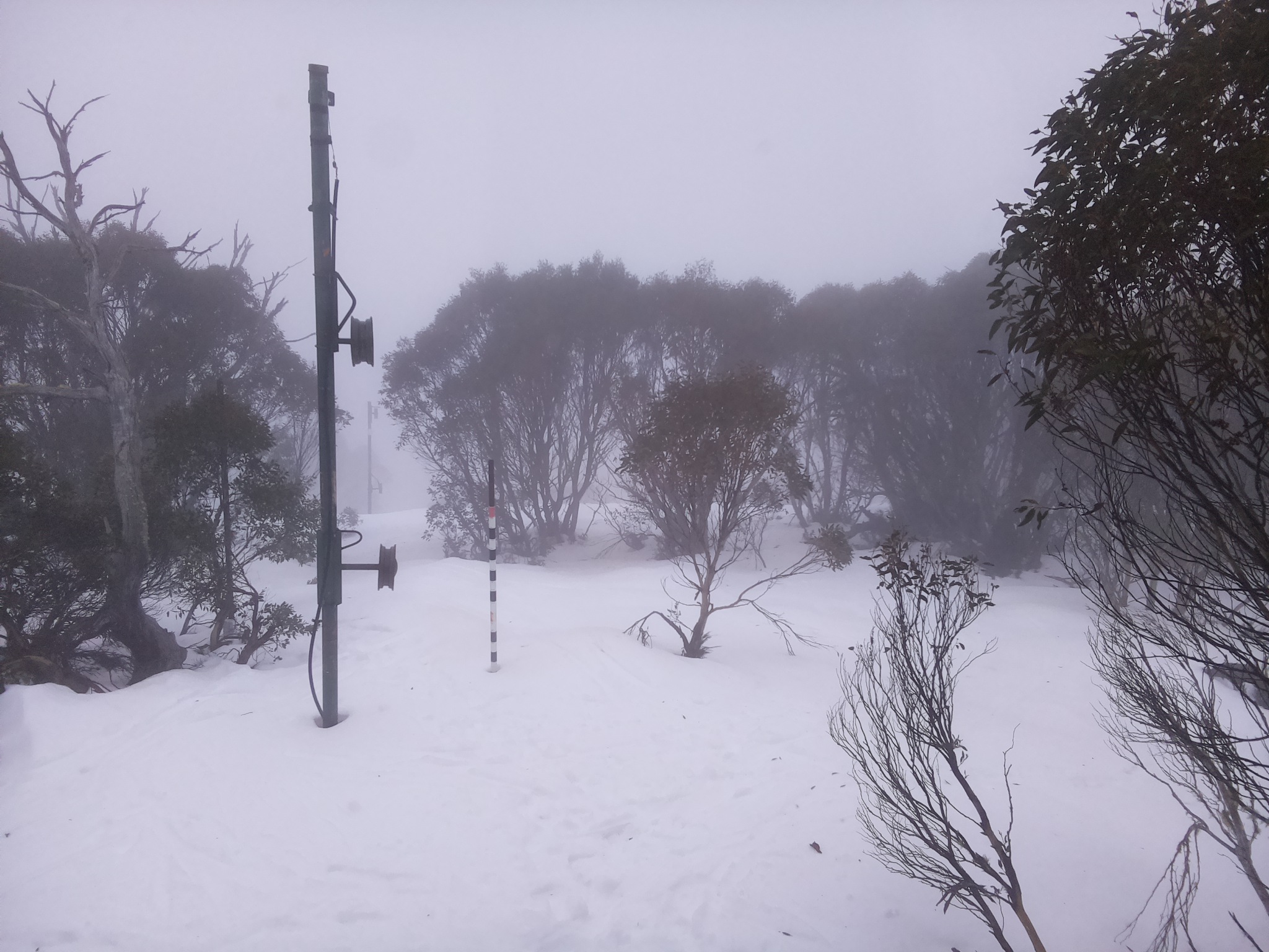 Bogong Web Cam 8:20am Tuesday 8th of July 2025