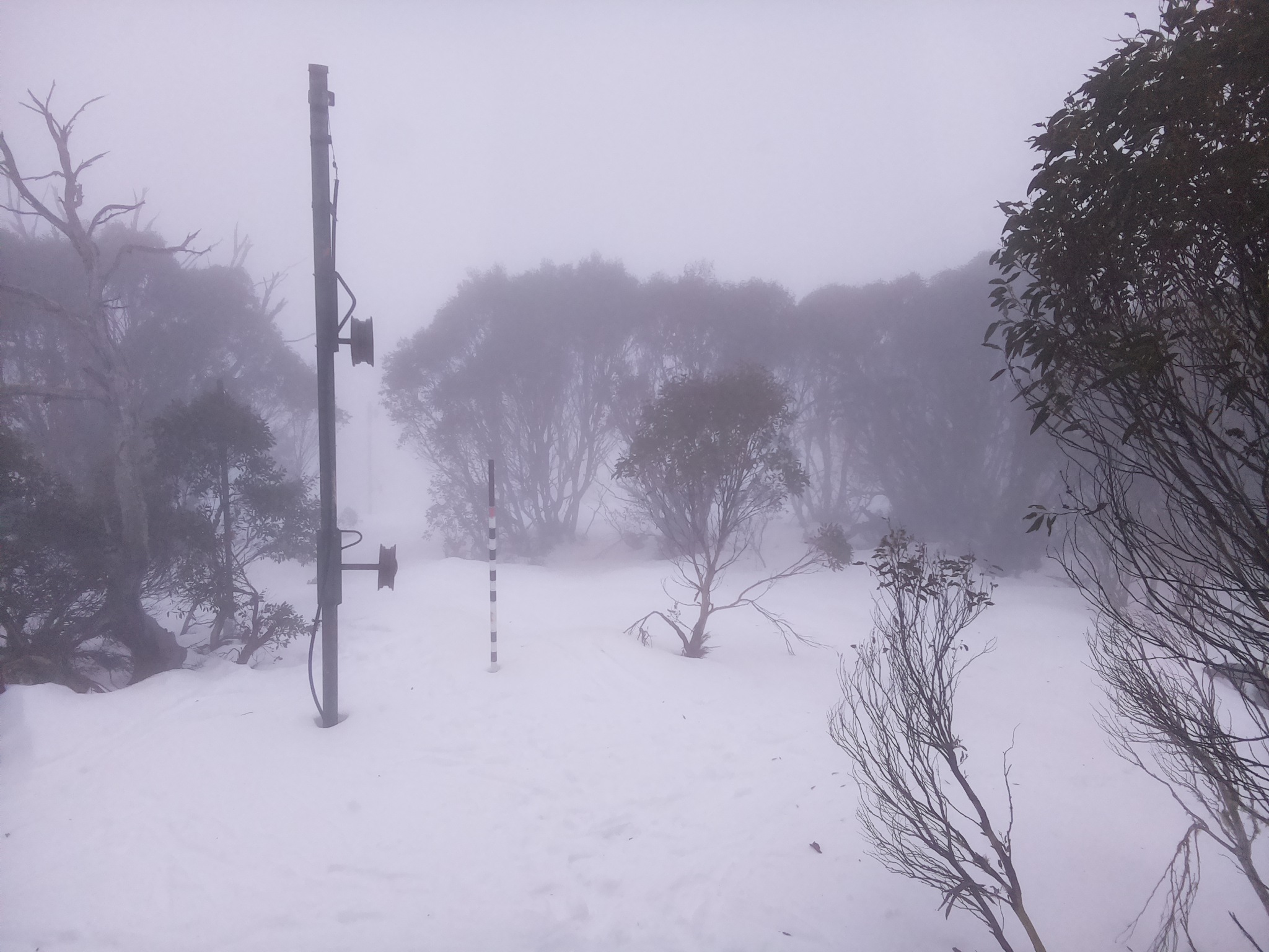 Bogong Web Cam 8:40am Tuesday 8th of July 2025