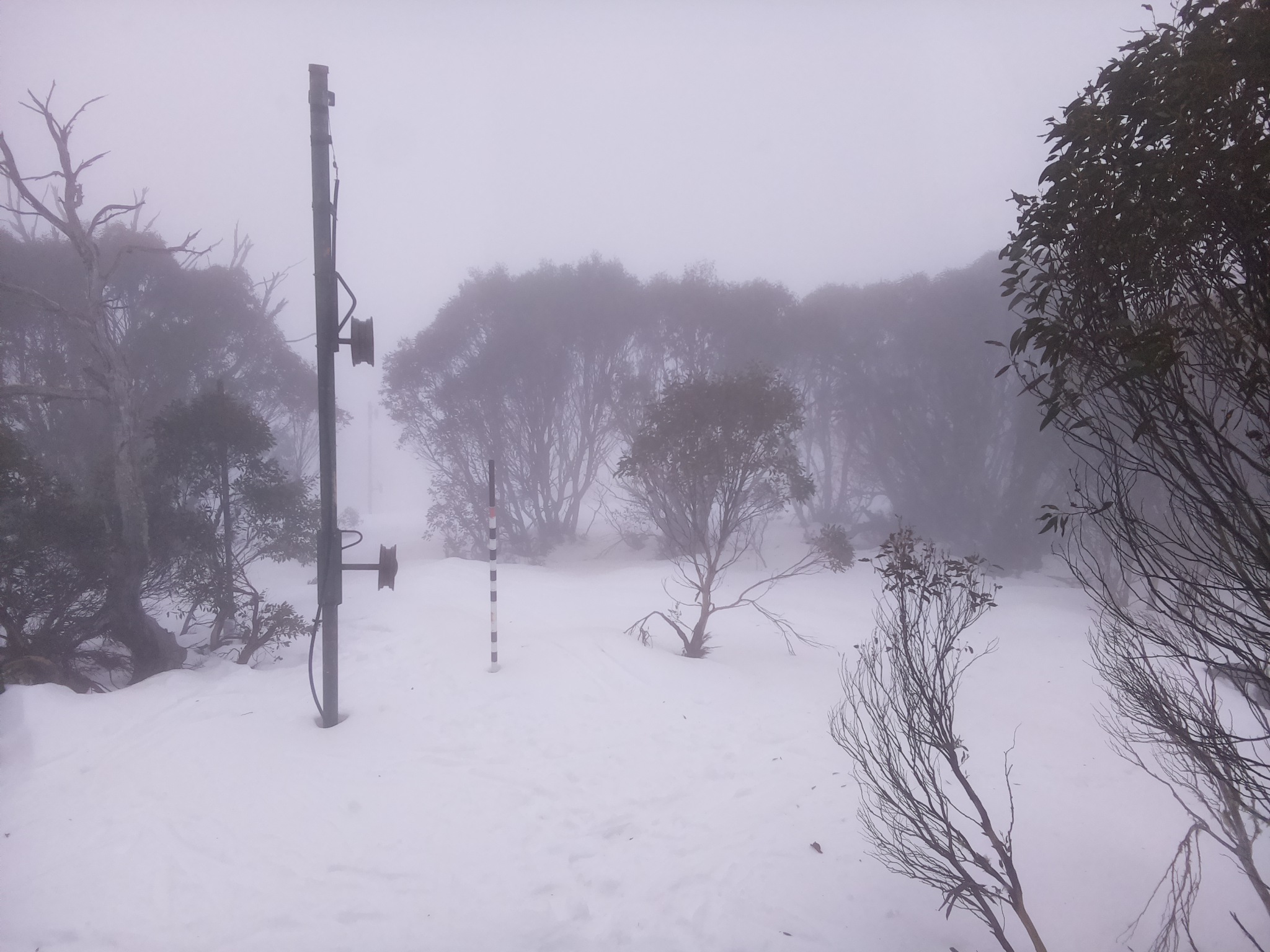 Bogong Web Cam 8:50am Tuesday 8th of July 2025