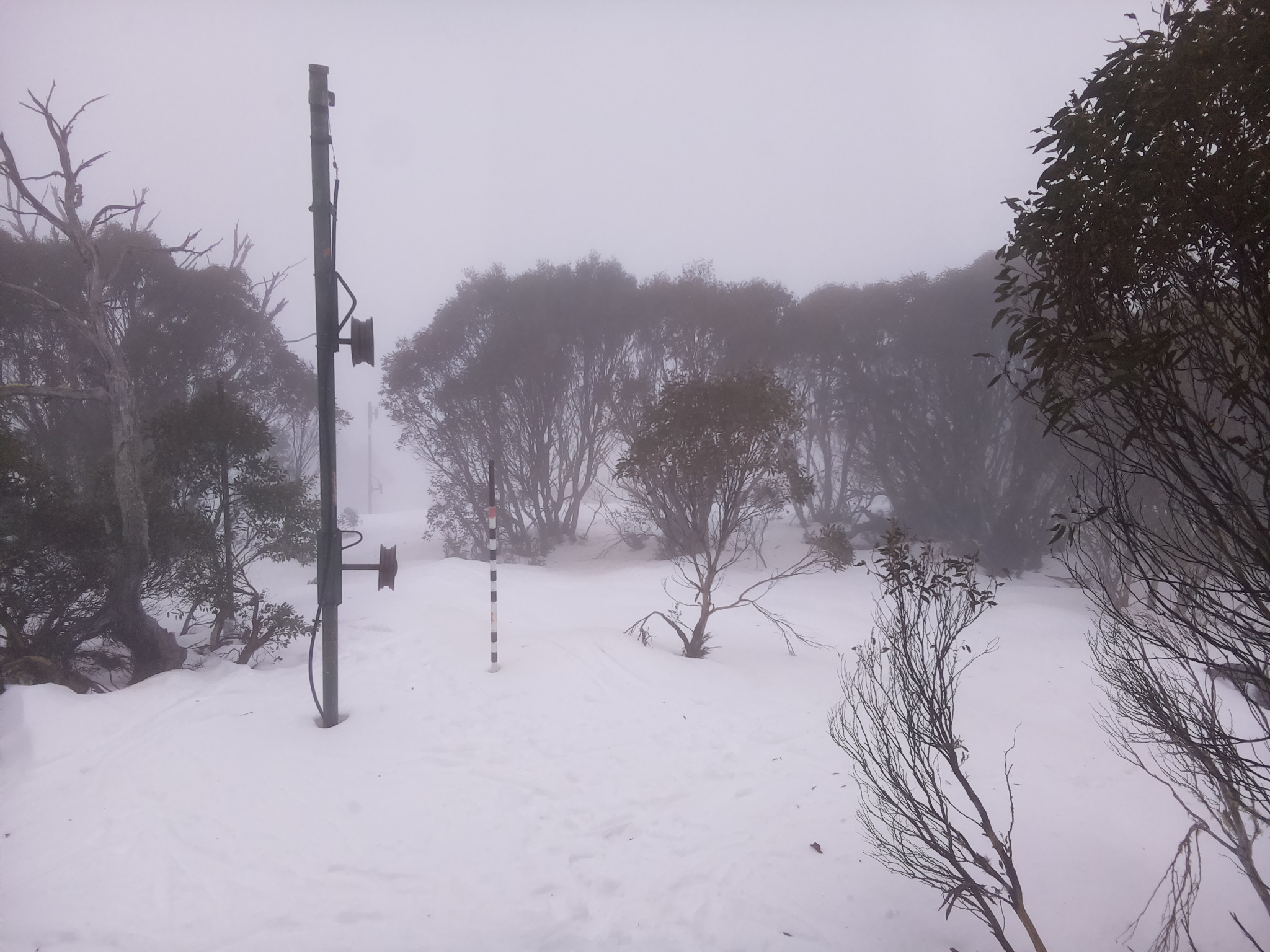 Bogong Web Cam 9:00am Tuesday 8th of July 2025