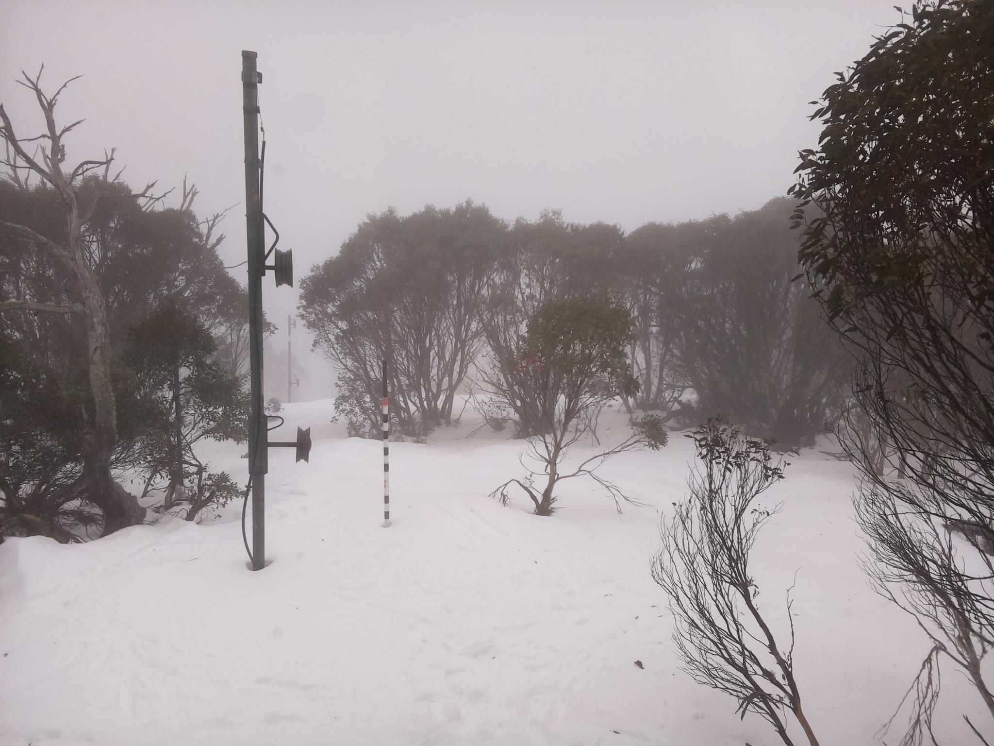 Bogong Web Cam 9:20am Tuesday 8th of July 2025