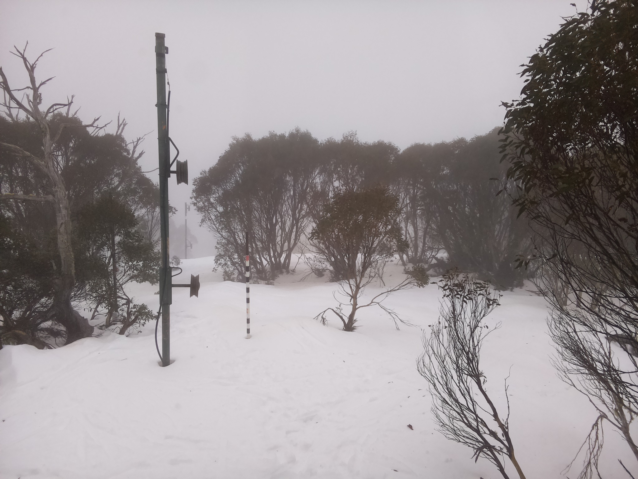 Bogong Web Cam 9:50am Tuesday 8th of July 2025