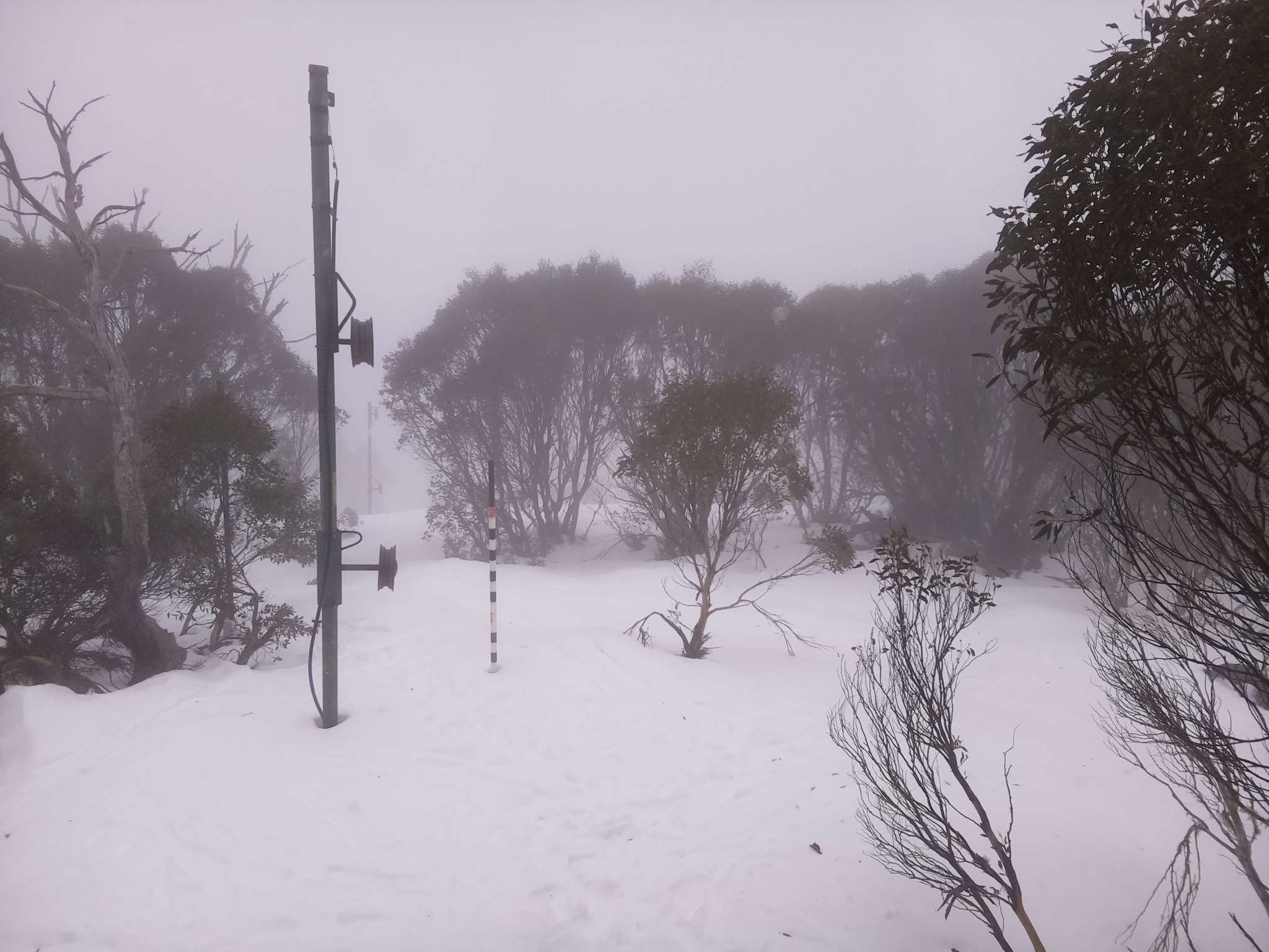 Bogong Web Cam 10:00am Tuesday 8th of July 2025
