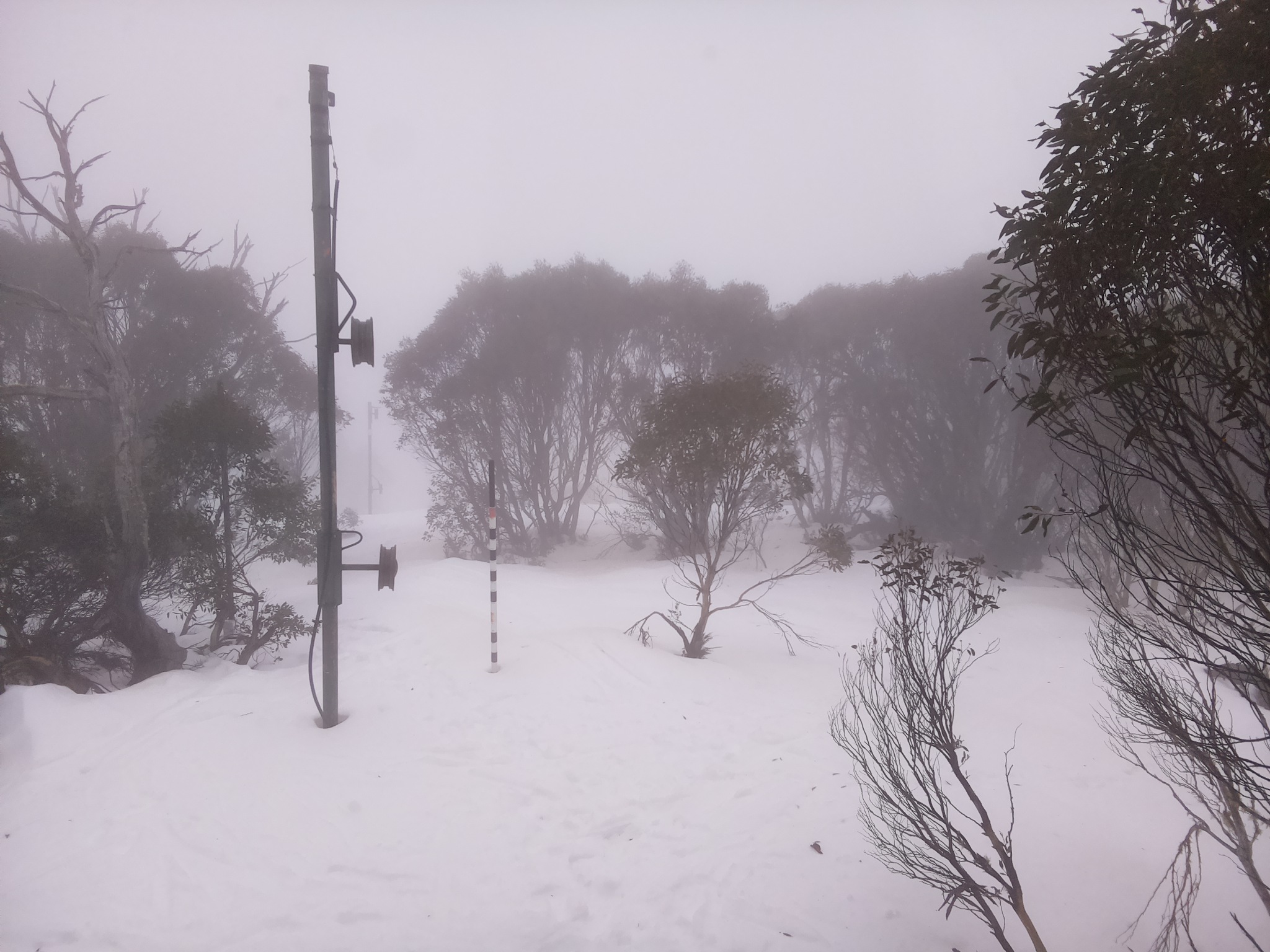 Bogong Web Cam 10:10am Tuesday 8th of July 2025