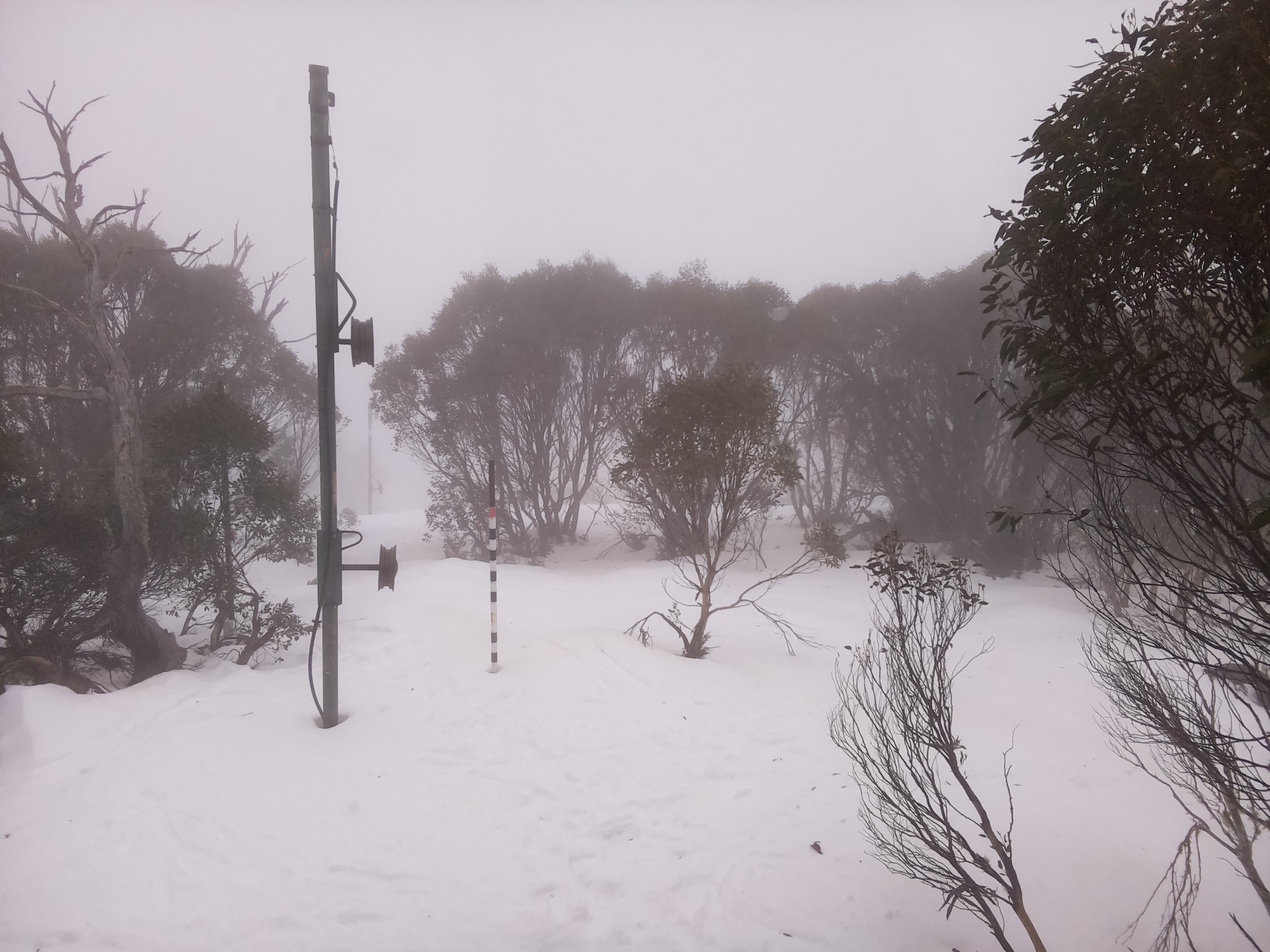 Bogong Web Cam 10:20am Tuesday 8th of July 2025