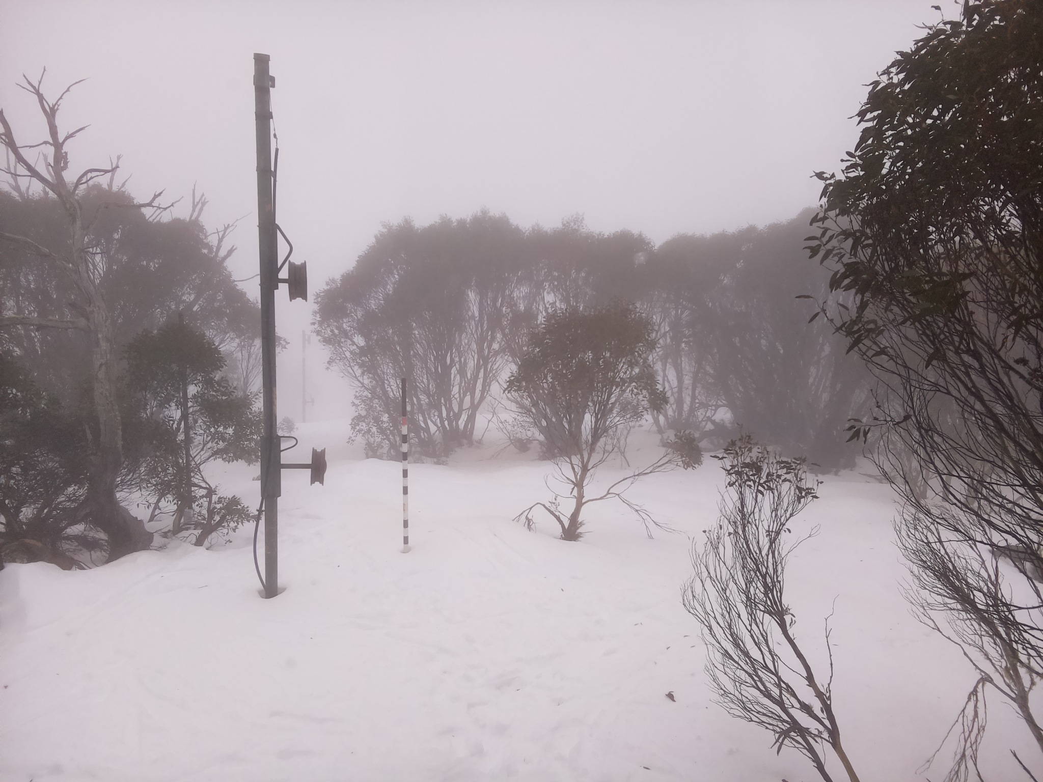 Bogong Web Cam 10:30am Tuesday 8th of July 2025