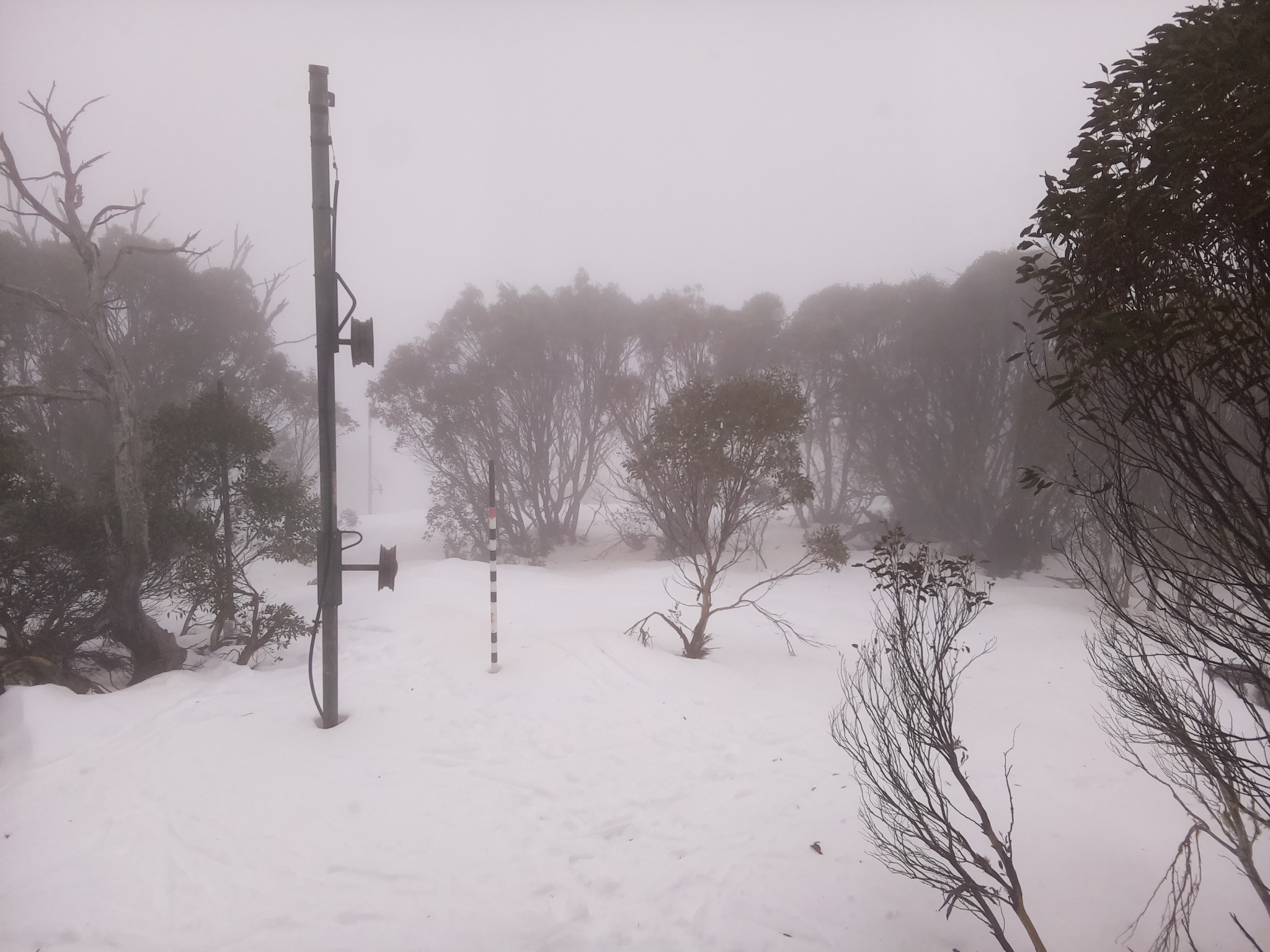 Bogong Web Cam 10:40am Tuesday 8th of July 2025