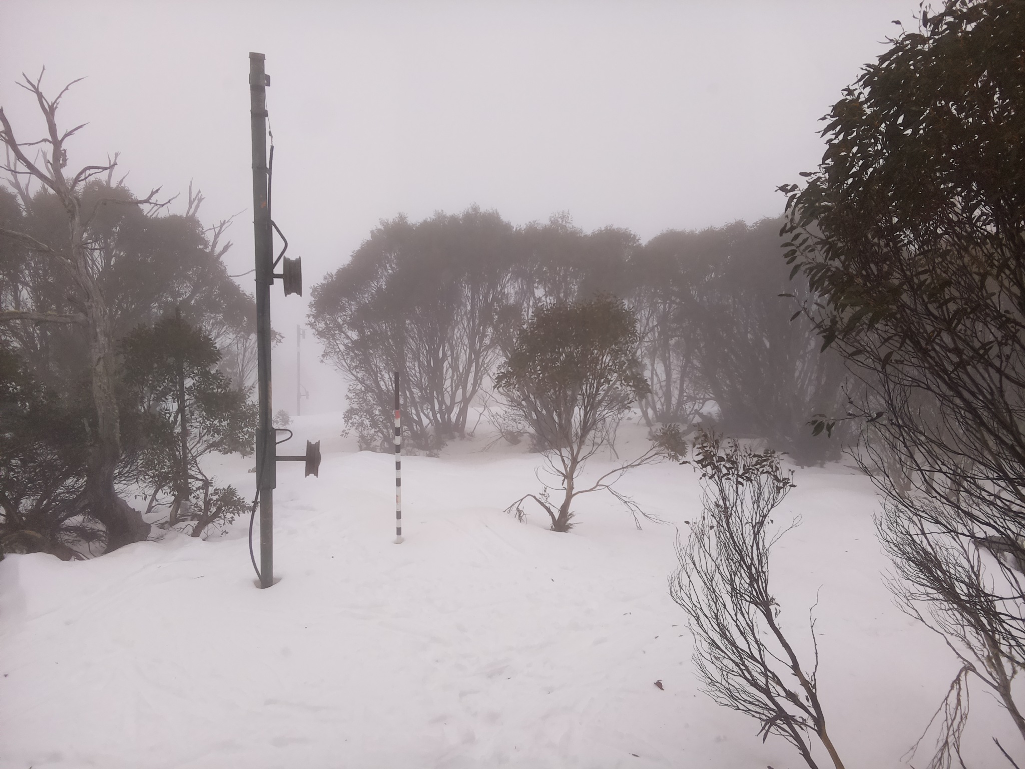 Bogong Web Cam 10:50am Tuesday 8th of July 2025