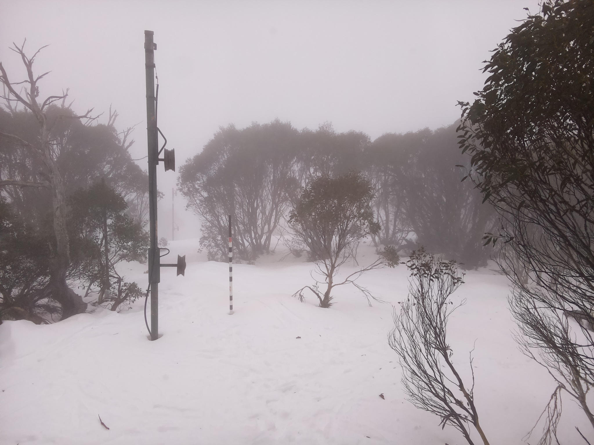 Bogong Web Cam 11:00am Tuesday 8th of July 2025