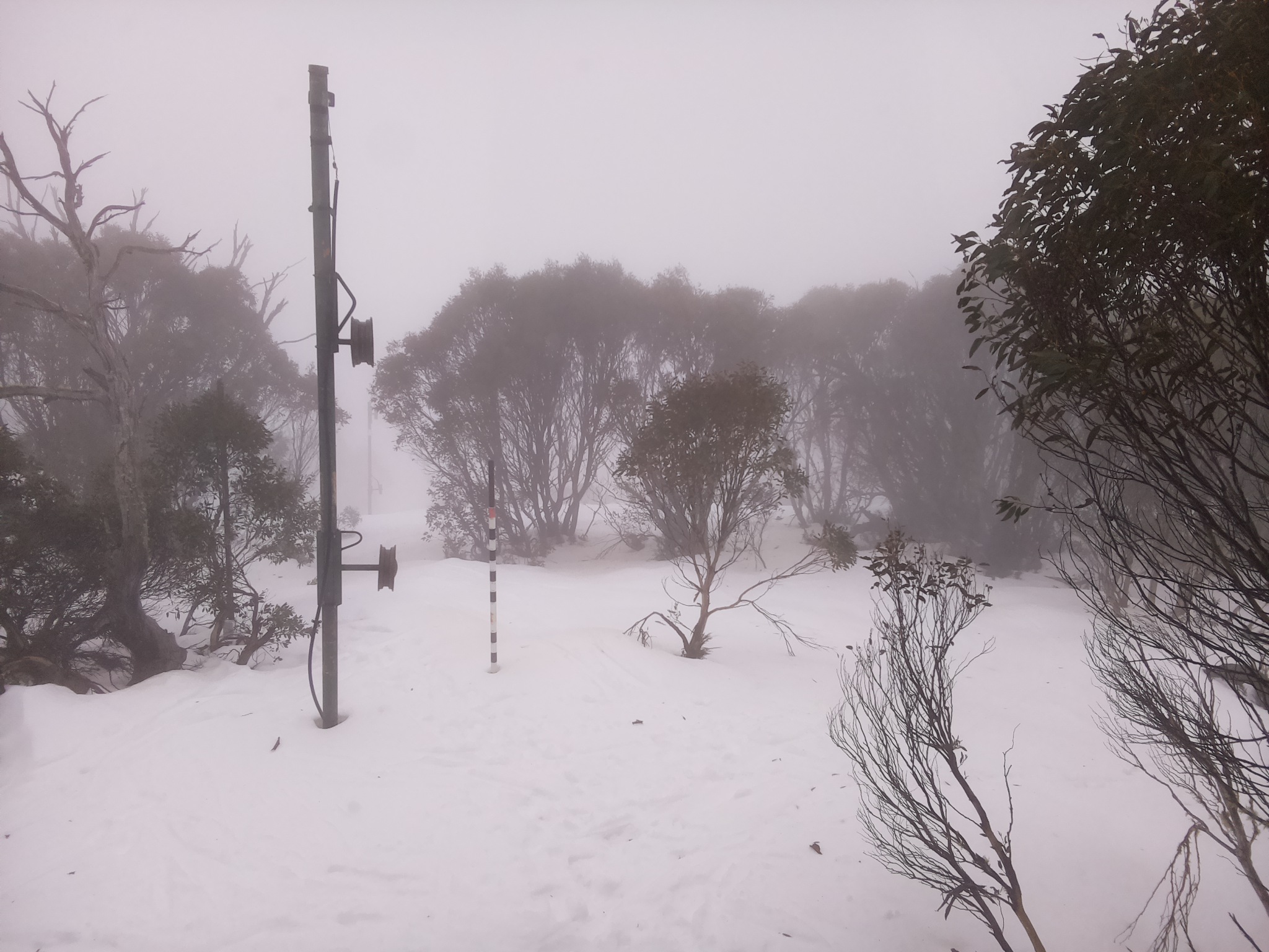 Bogong Web Cam 11:10am Tuesday 8th of July 2025