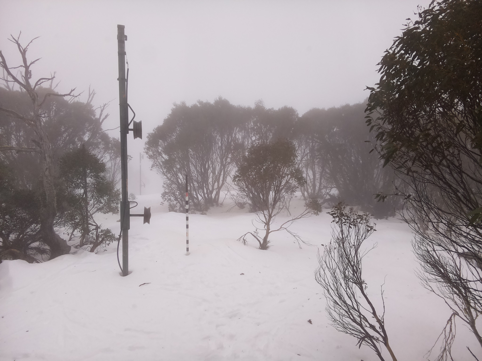 Bogong Web Cam 11:30am Tuesday 8th of July 2025
