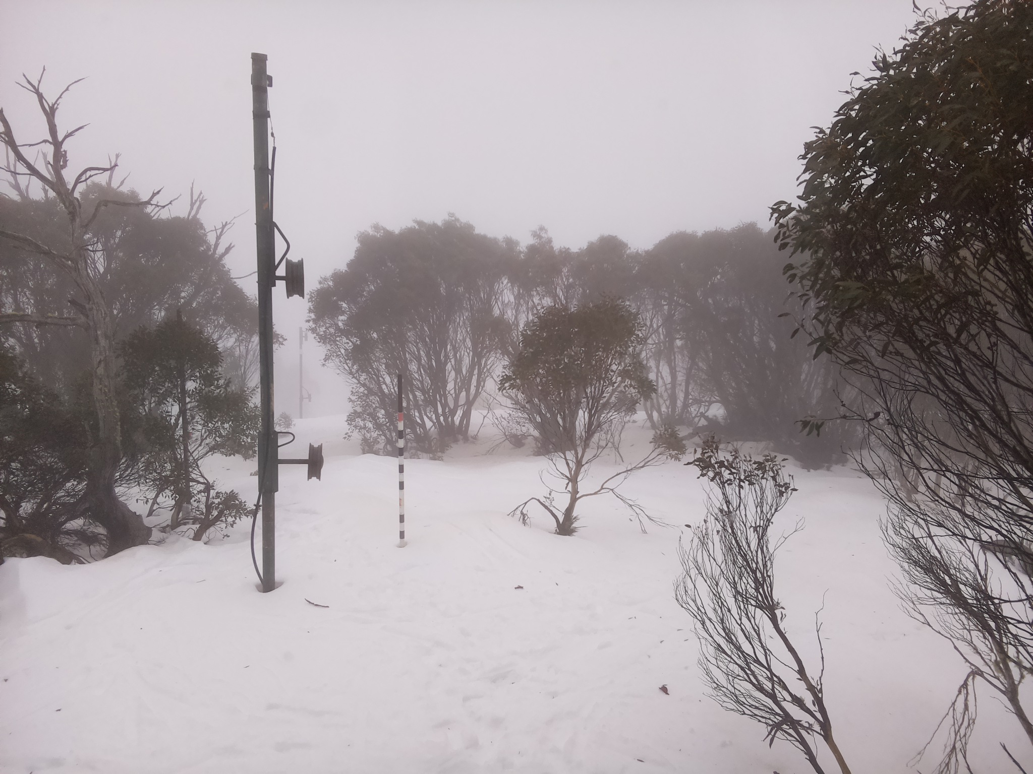 Bogong Web Cam 11:40am Tuesday 8th of July 2025