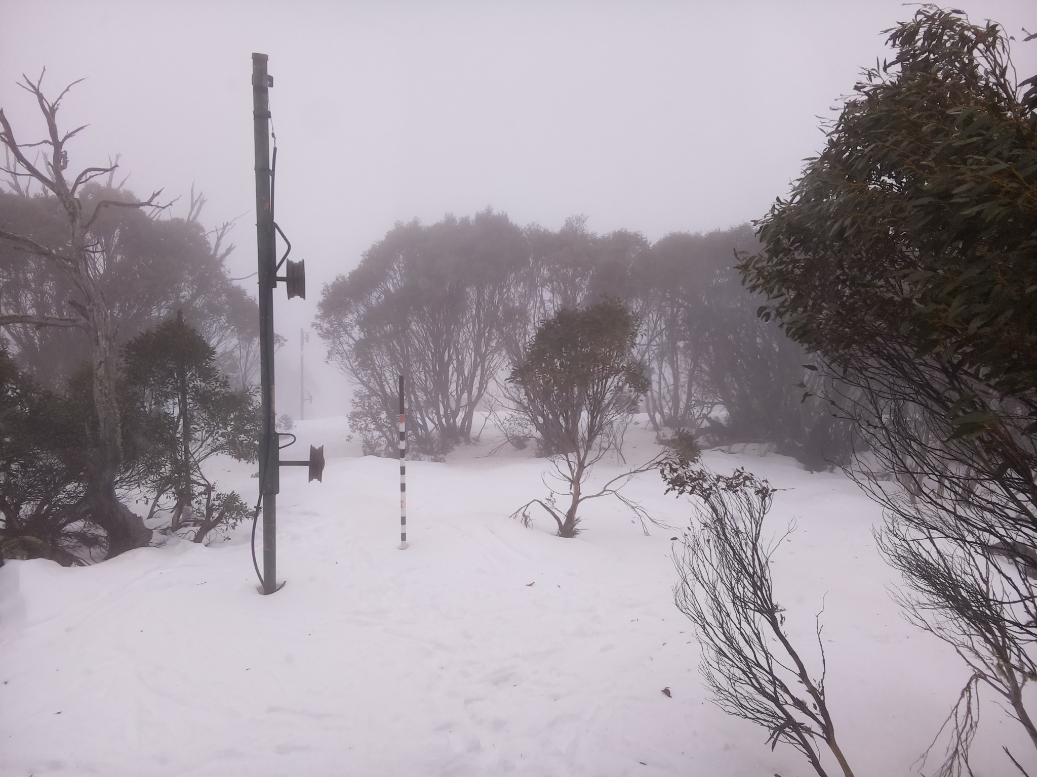 Bogong Web Cam 11:50am Tuesday 8th of July 2025
