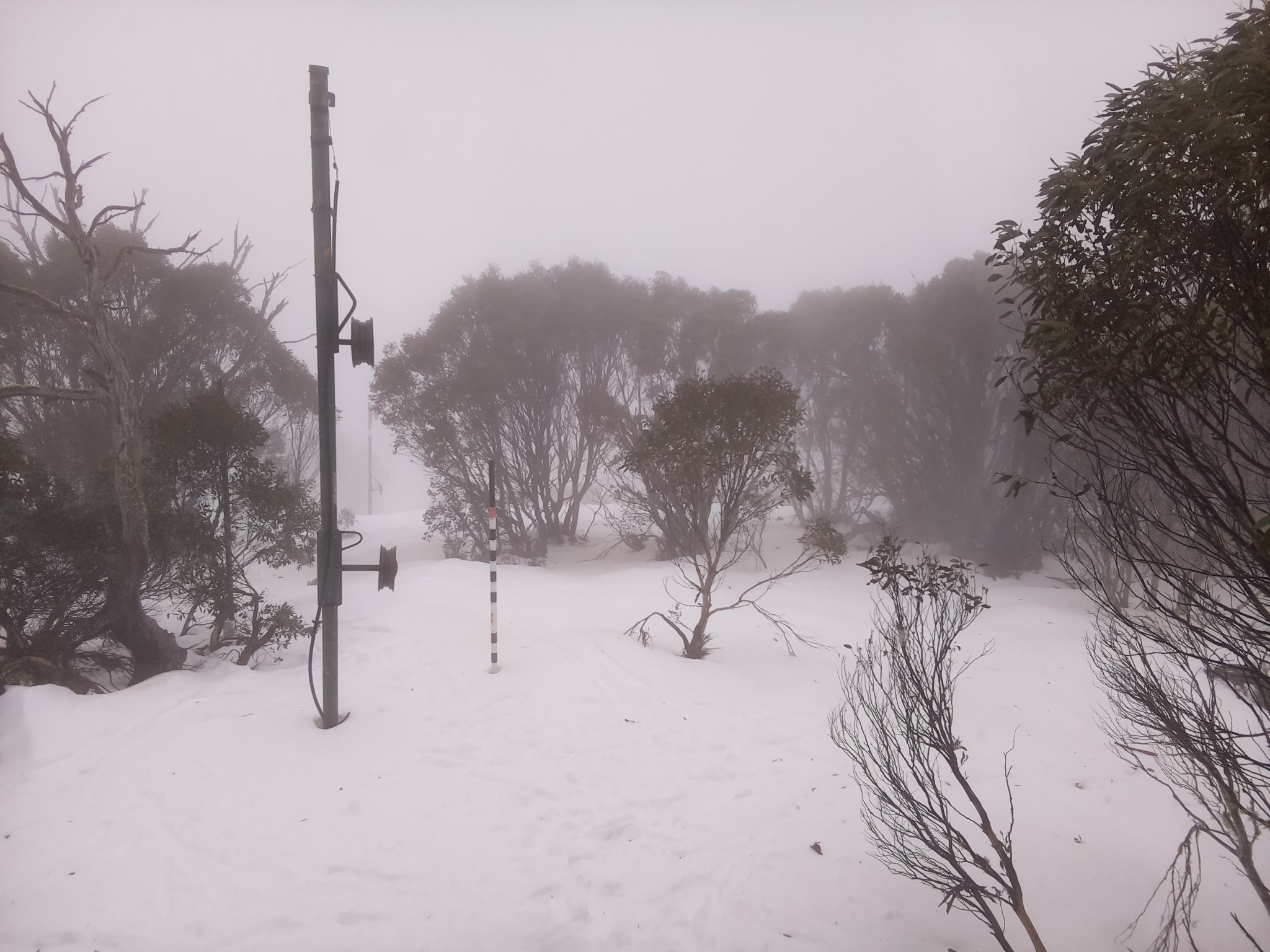 Bogong Web Cam 12:00pm Tuesday 8th of July 2025