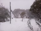Selected Thumbnail 12:30pm Tuesday 8th of July 2025