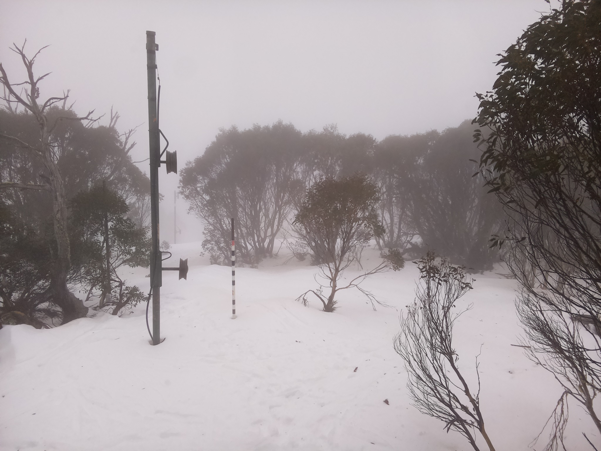 Bogong Web Cam 12:40pm Tuesday 8th of July 2025