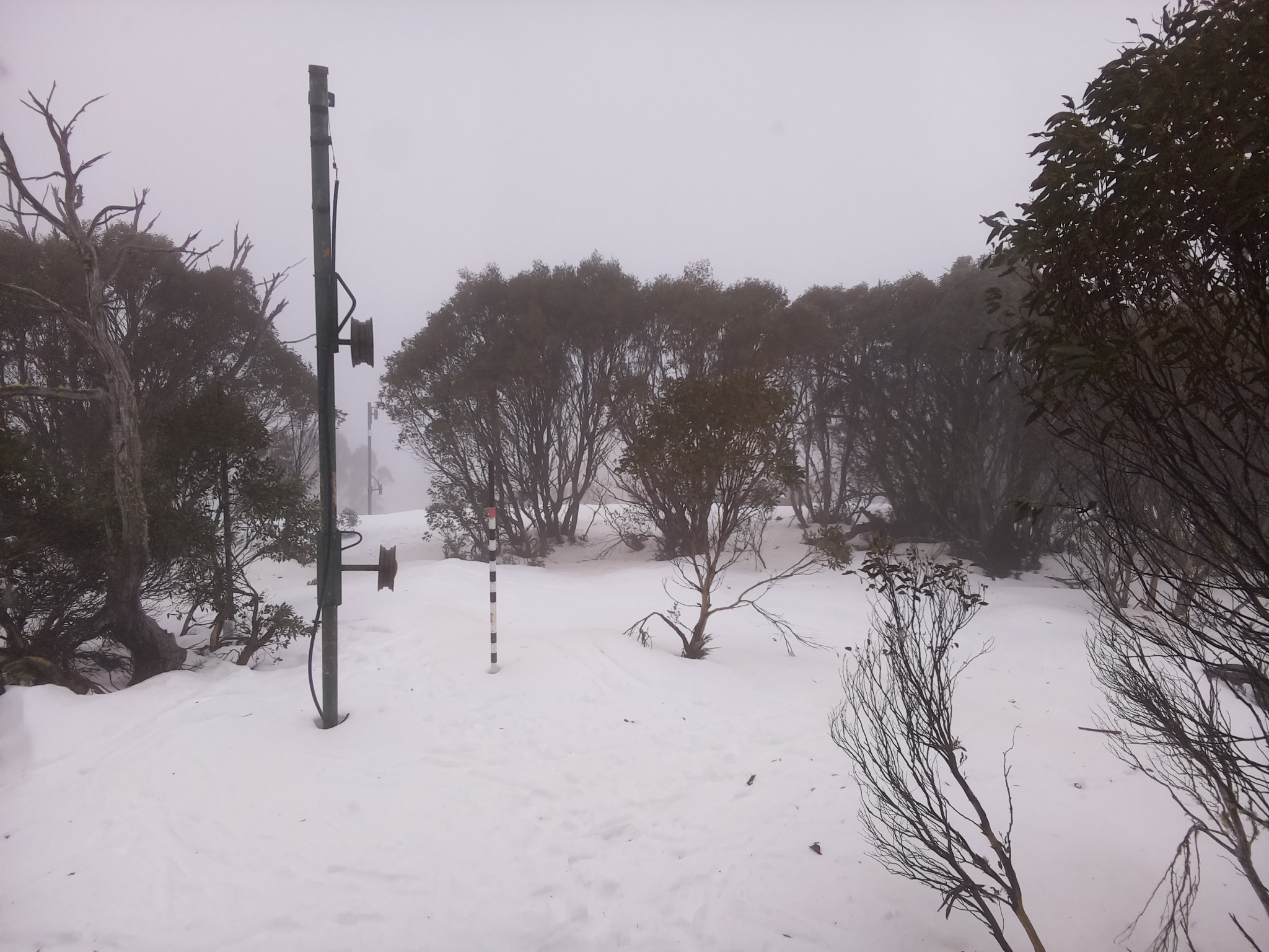 Bogong Web Cam 12:50pm Tuesday 8th of July 2025