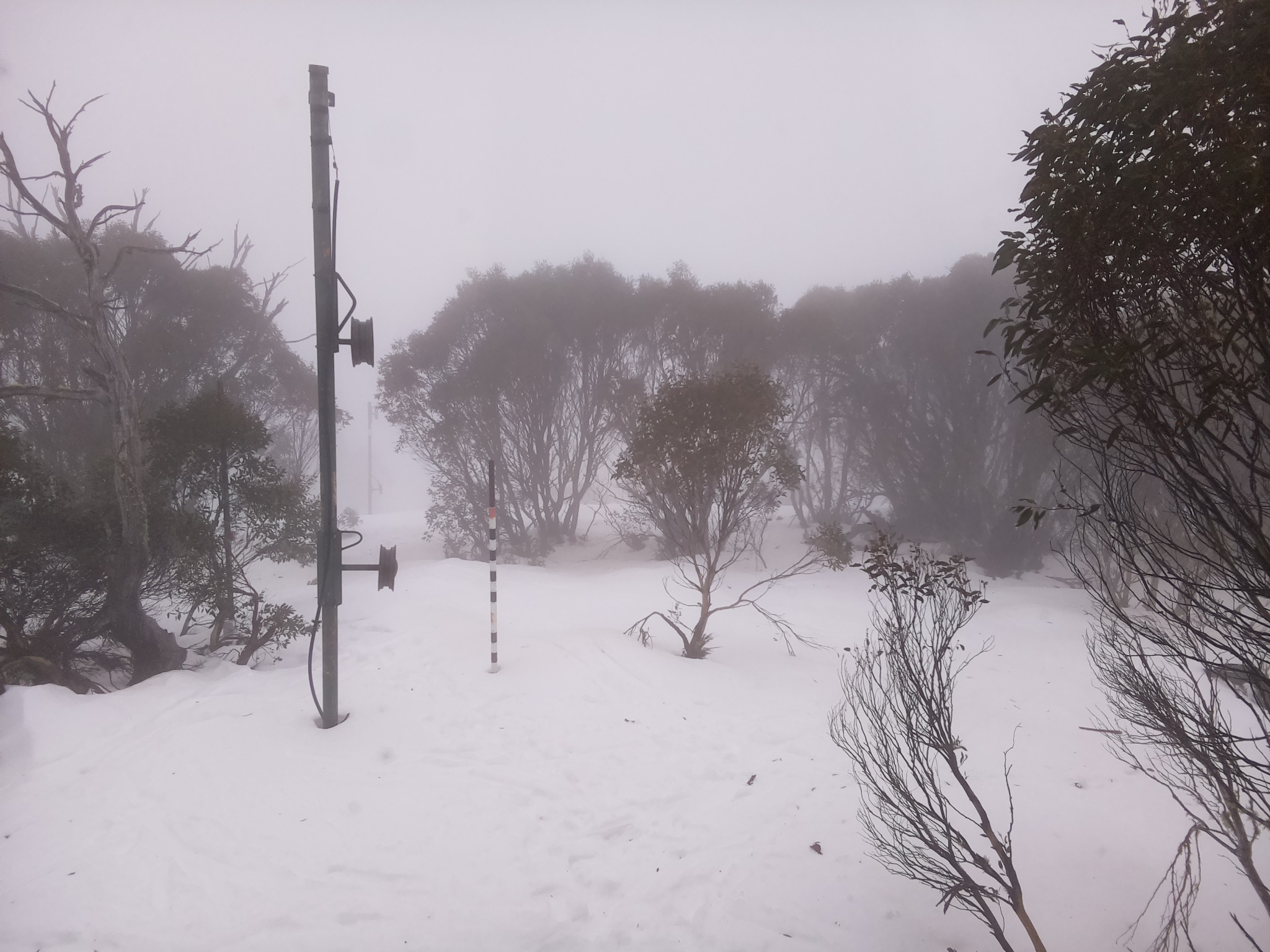 Bogong Web Cam 1:20pm Tuesday 8th of July 2025