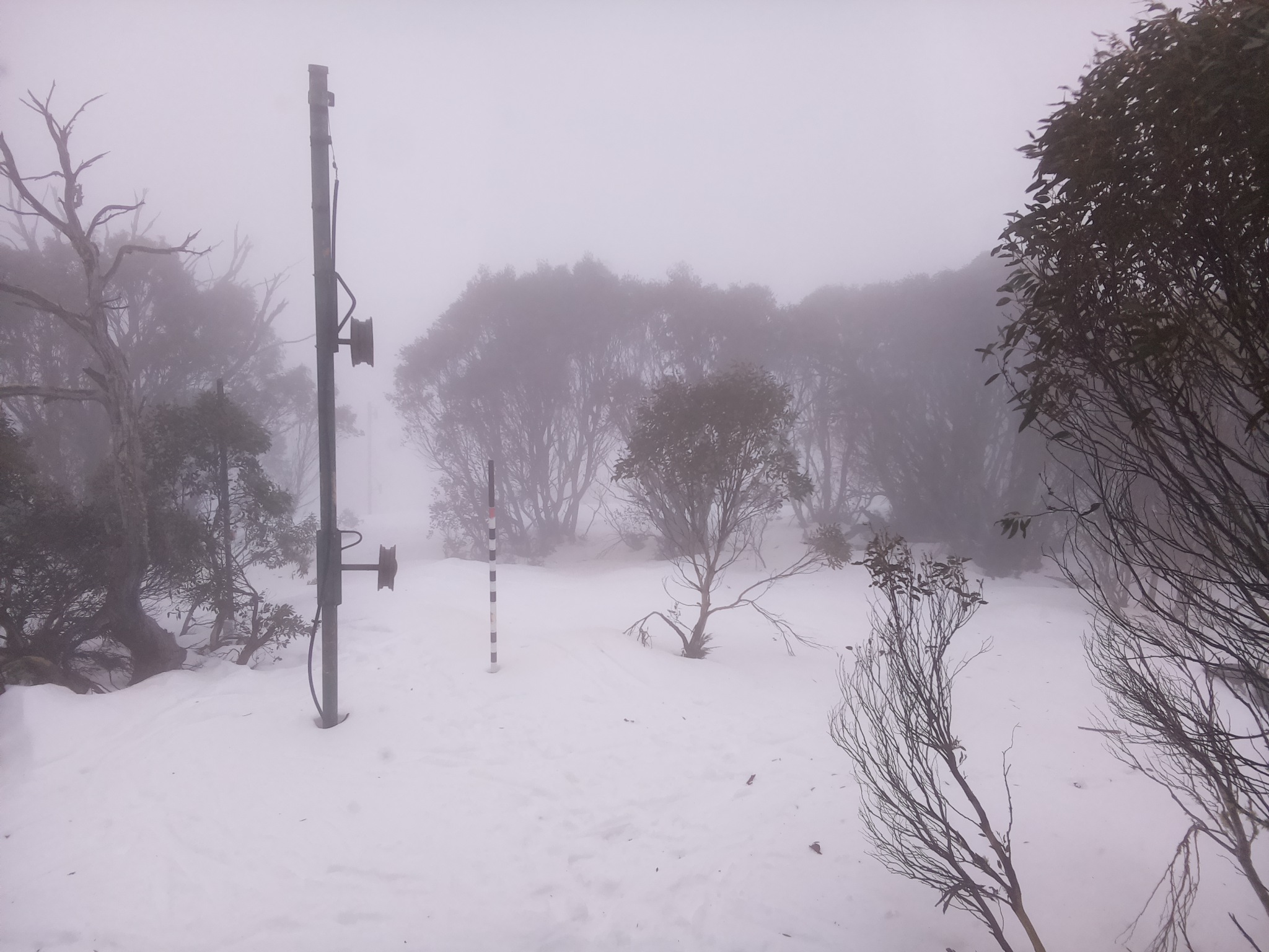 Bogong Web Cam 1:30pm Tuesday 8th of July 2025
