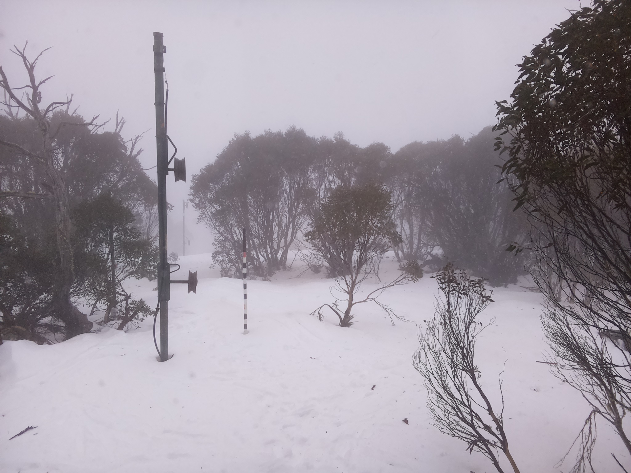 Bogong Web Cam 1:40pm Tuesday 8th of July 2025
