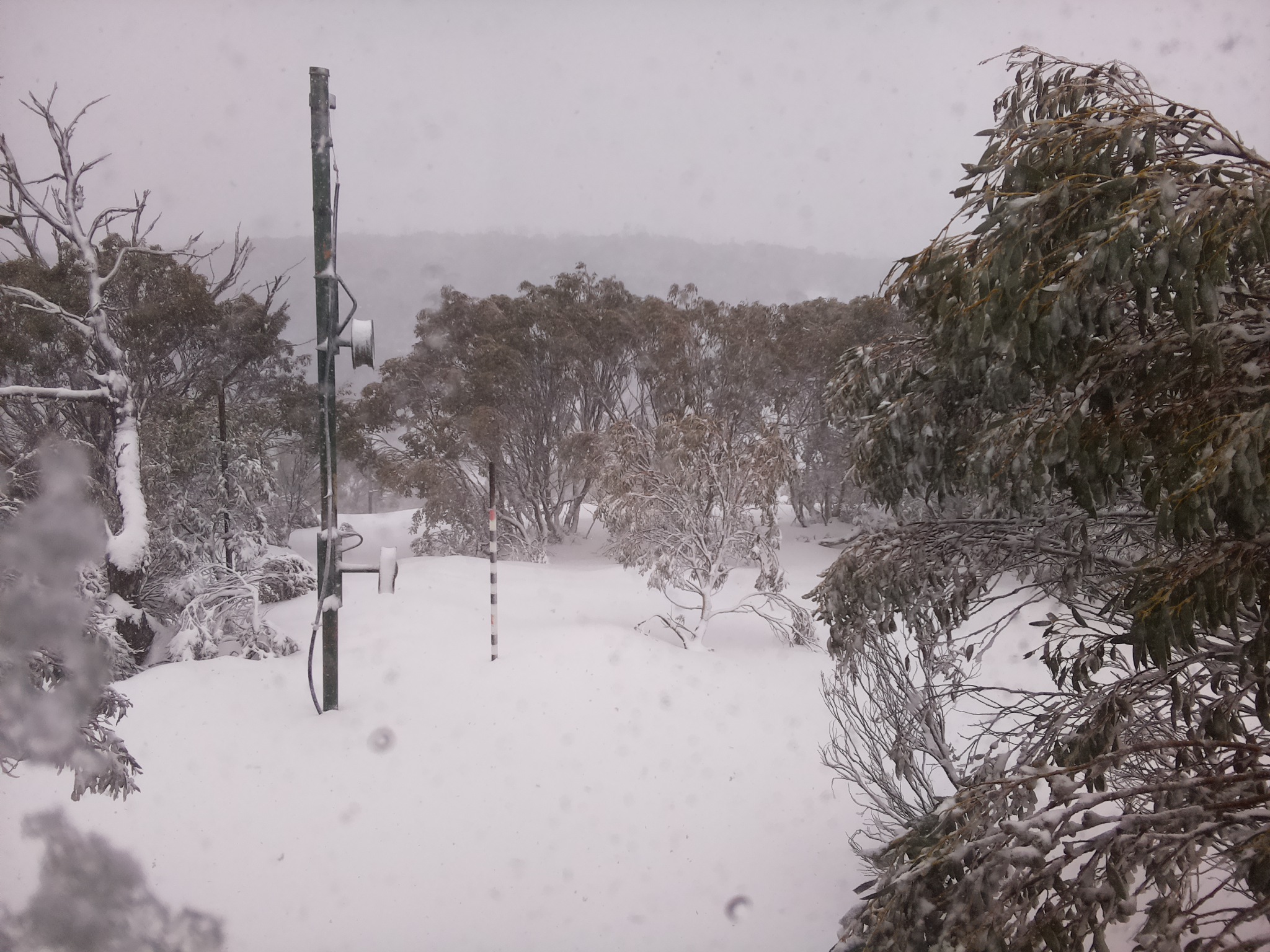 Bogong Web Cam 12:30pm Wednesday 9th of July 2025