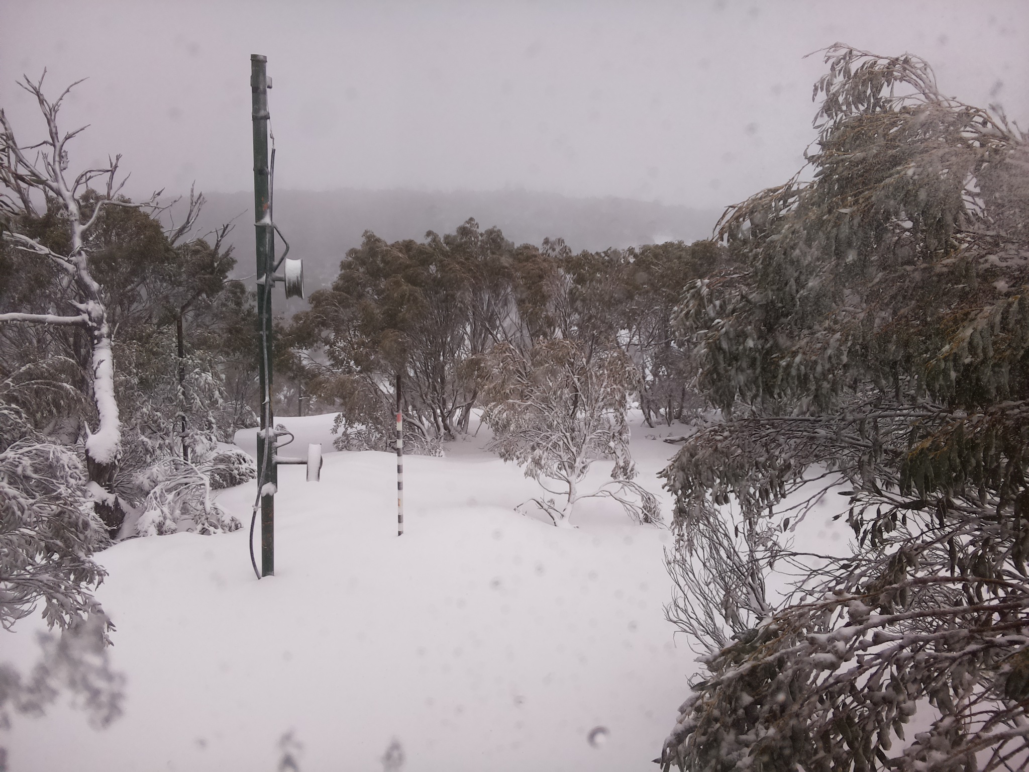Bogong Web Cam 12:40pm Wednesday 9th of July 2025