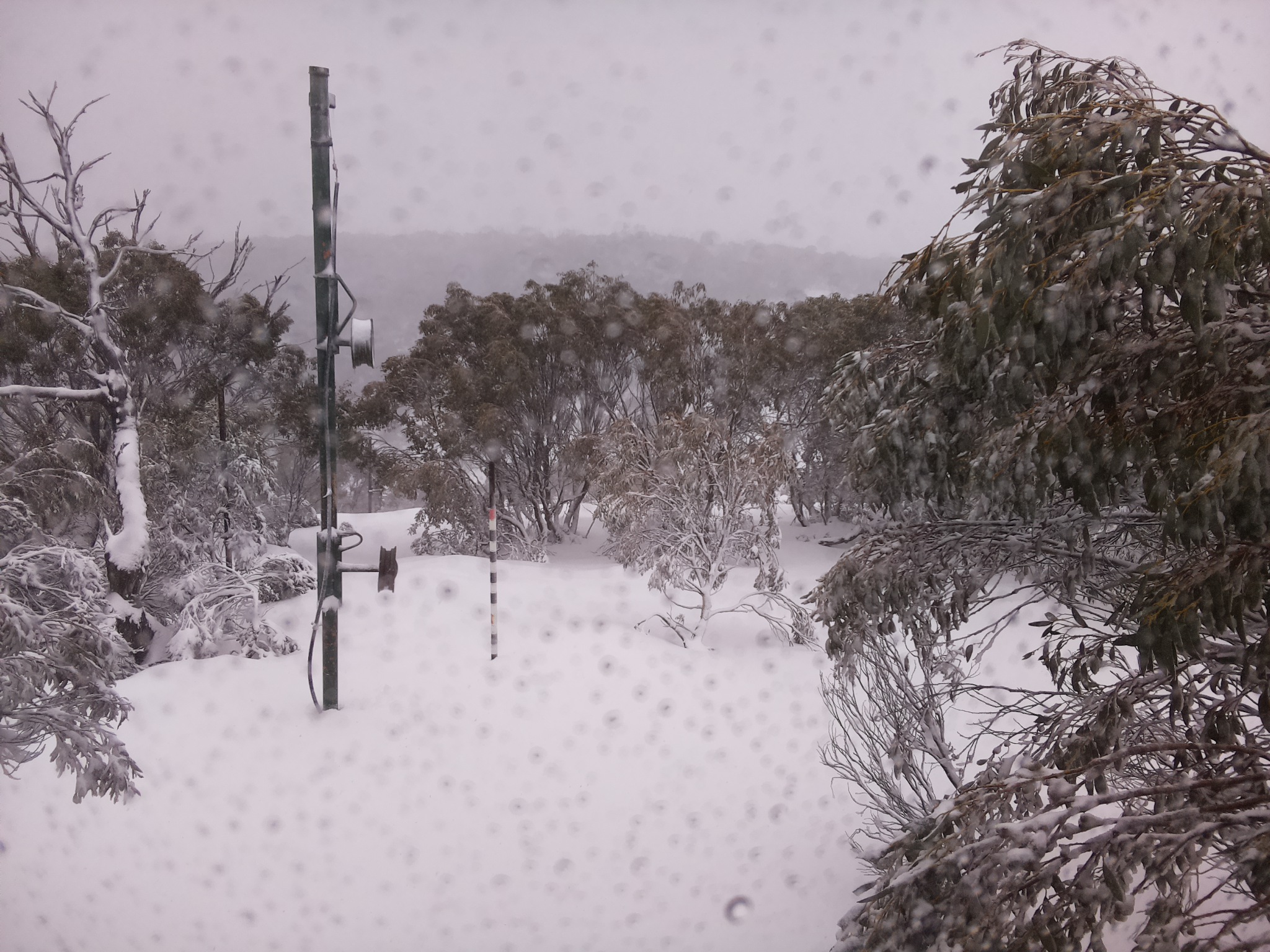 Bogong Web Cam 1:30pm Wednesday 9th of July 2025