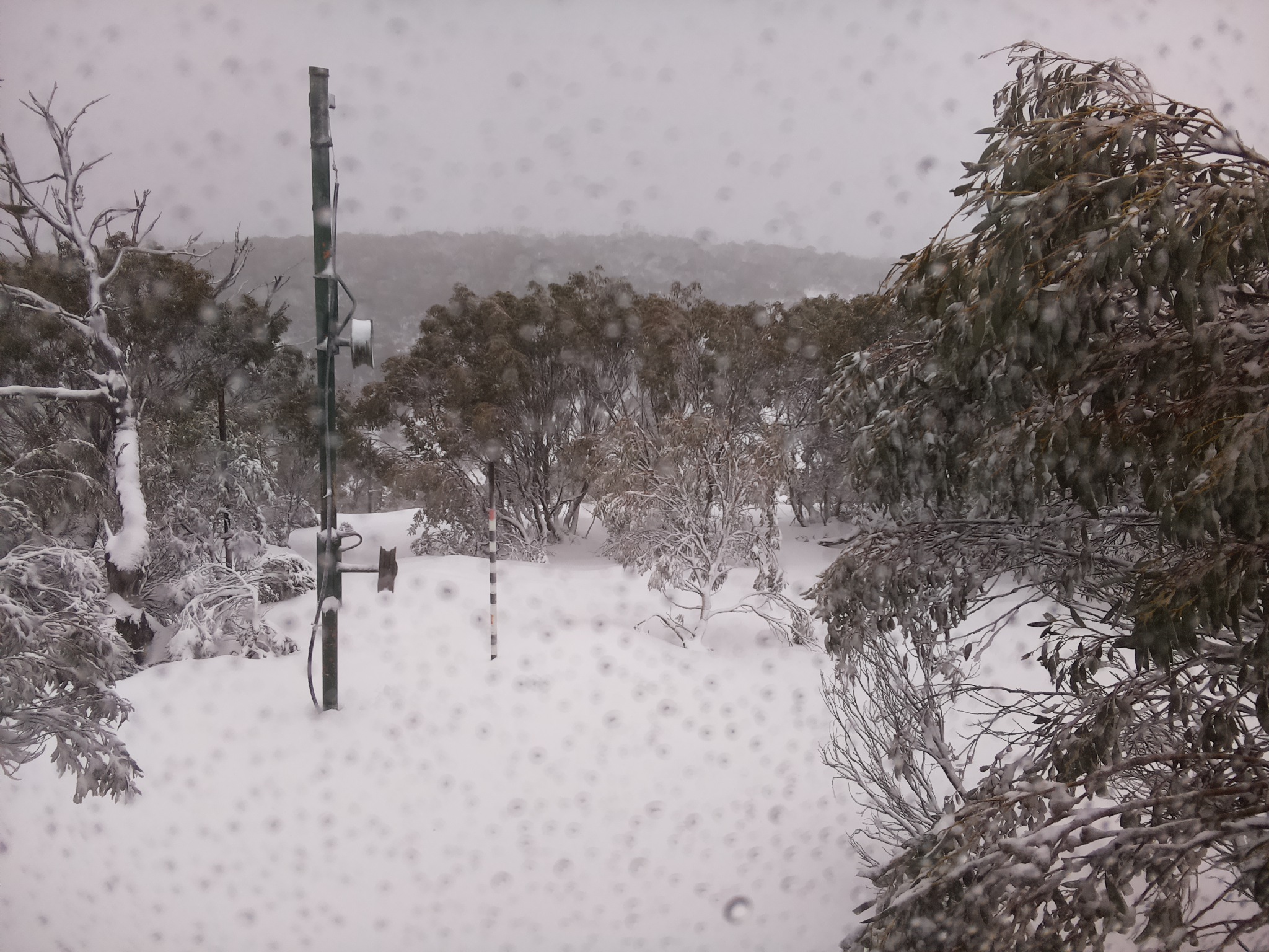 Bogong Web Cam 1:40pm Wednesday 9th of July 2025